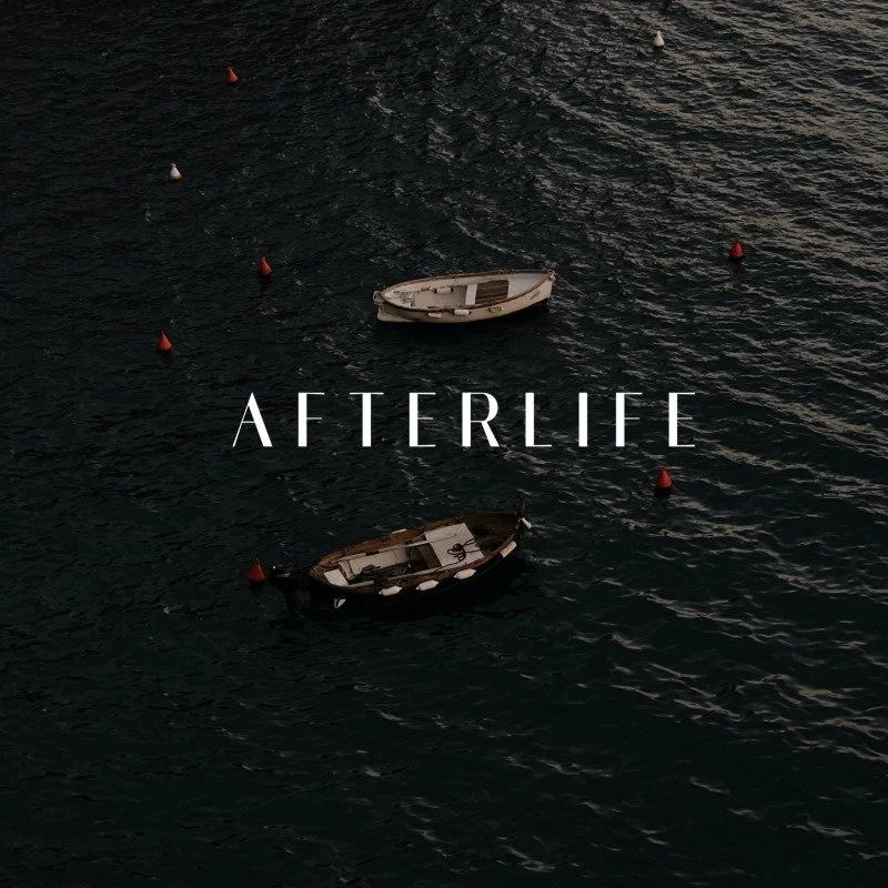 800x800-979594--F5A98269-5328-4BDB-81FD1156FCB0AFD4--0--778843--AfterlifeCover.jpg