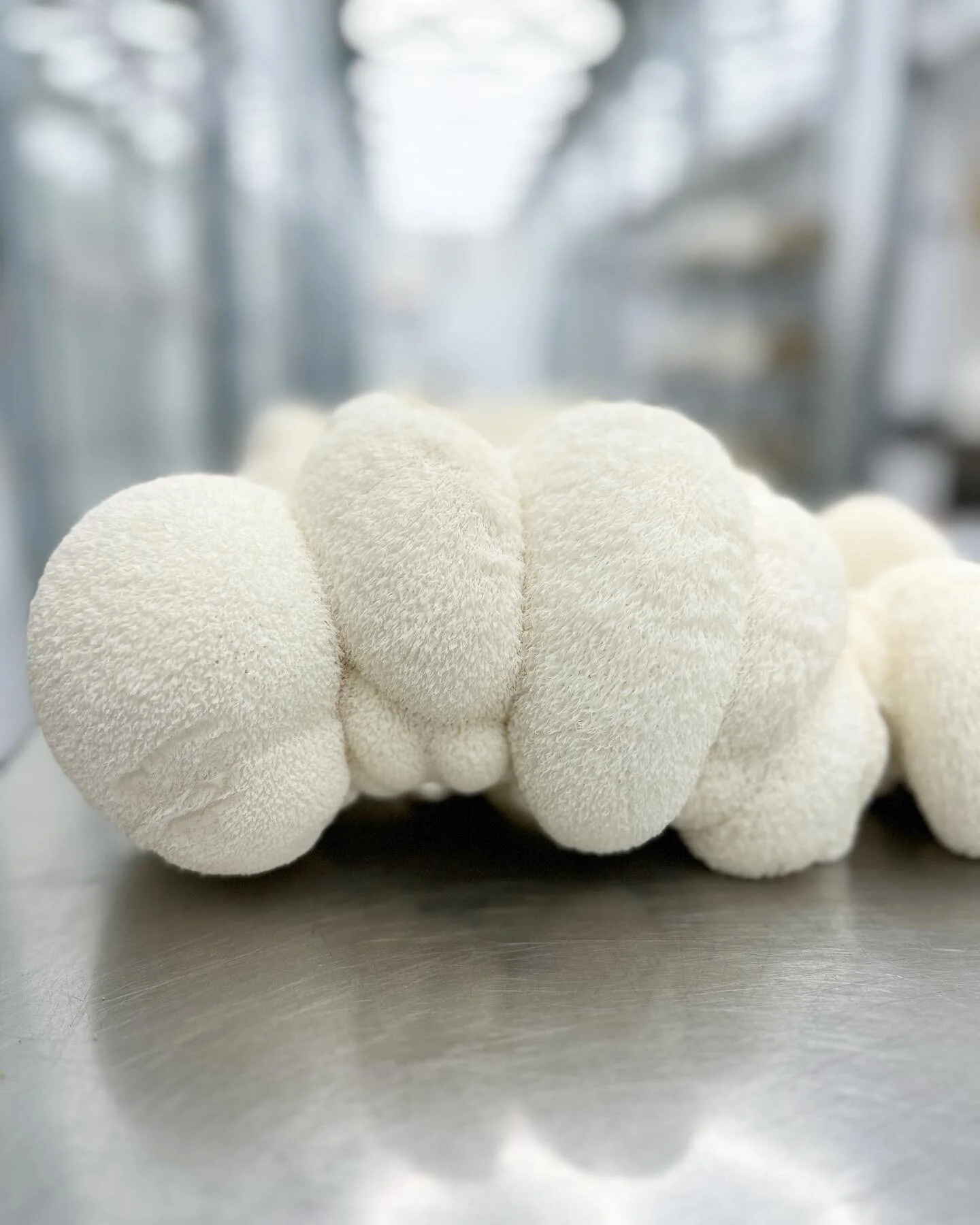 Lion's Mane has been a hot commodity this year. Are you using Lion's Mane yet?