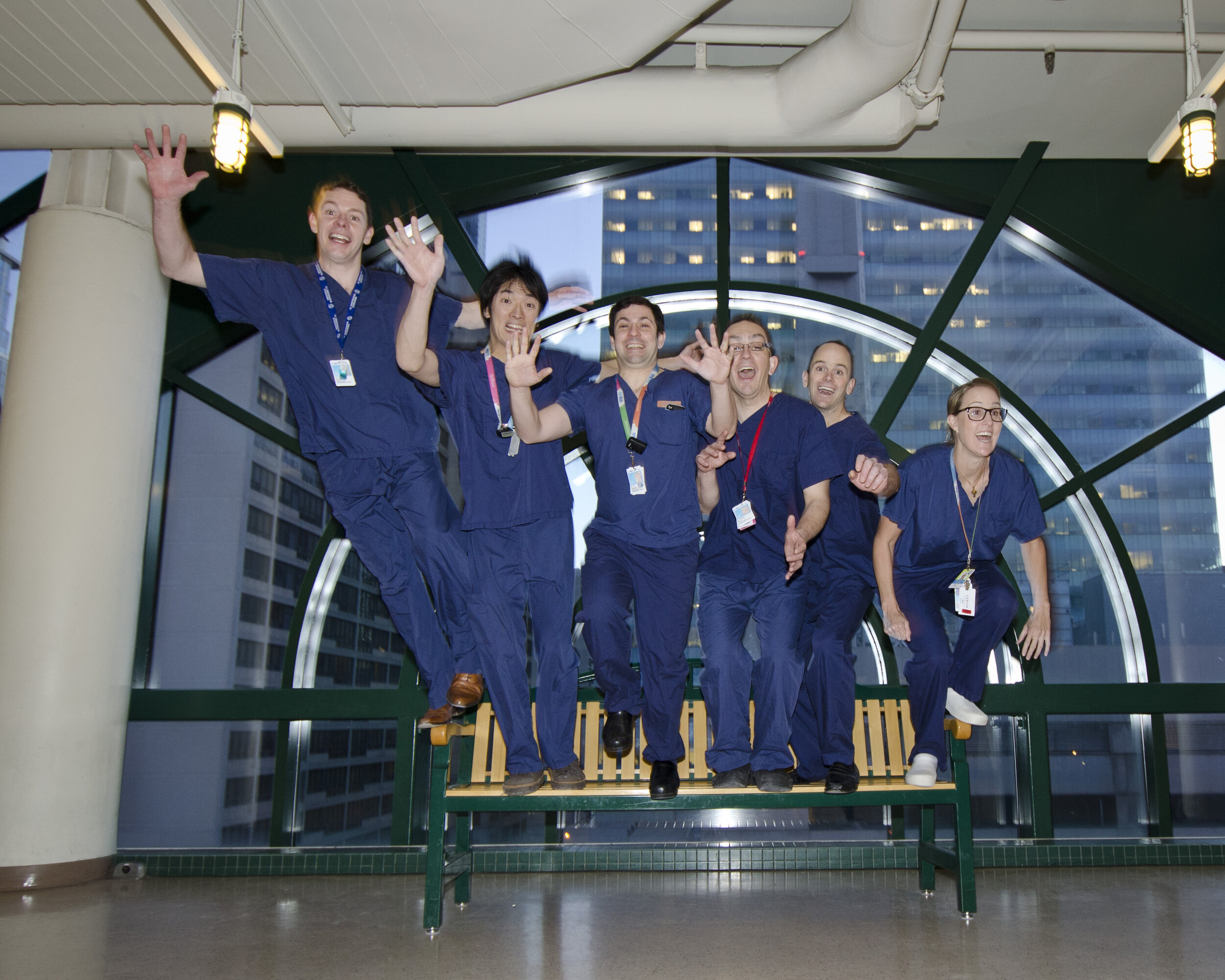 Orthopaedic Fellows 2014-2015