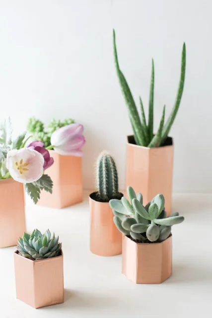 The Happieset Houseplants