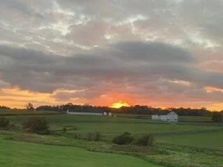 Finding your Truth… What is Your Direct Experience?