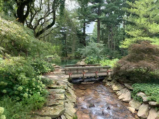 Heading out on the Path to Finding Your Truth