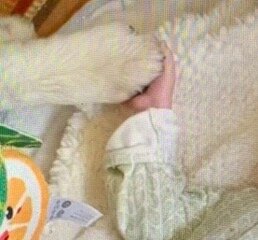 And now here is my secret…