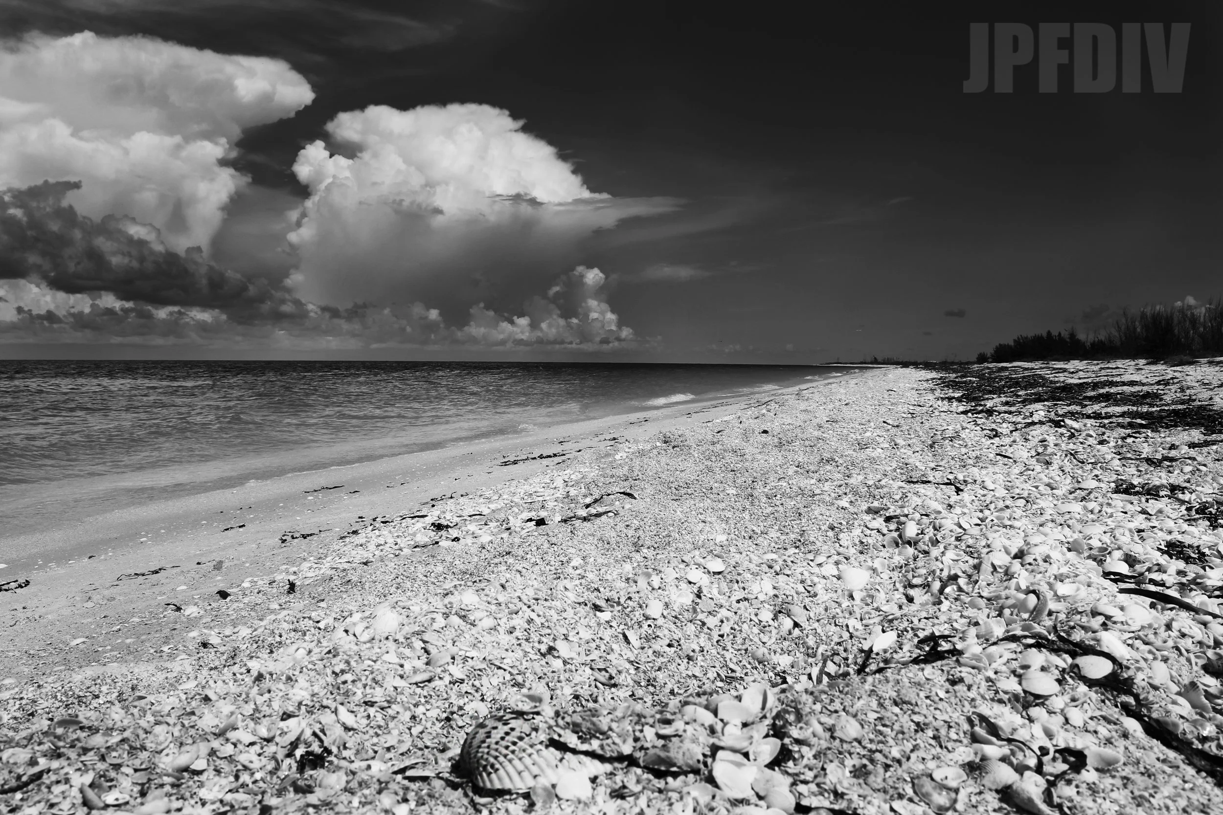 fl5.jpg