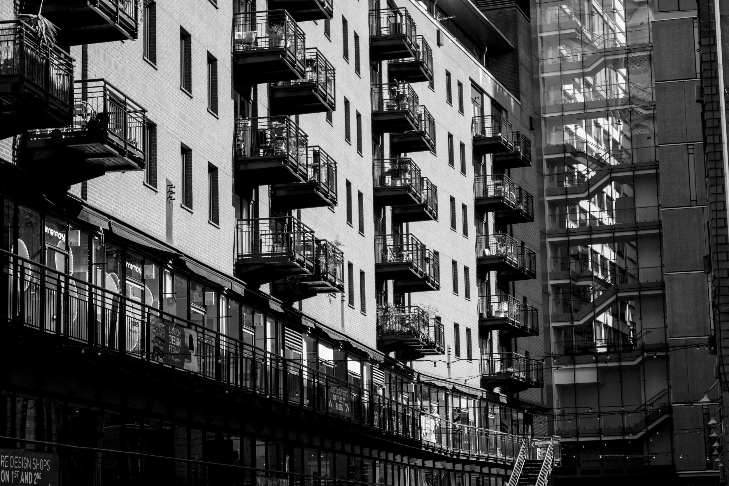 _MG_5453.jpg