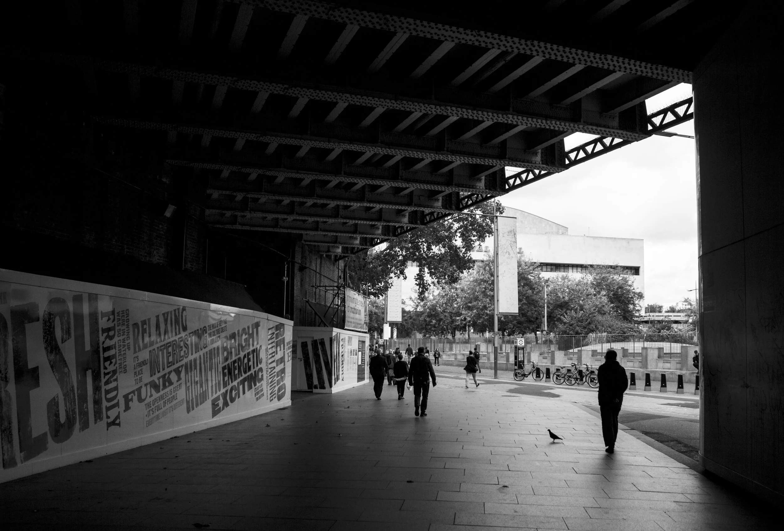 _MG_5384.jpg