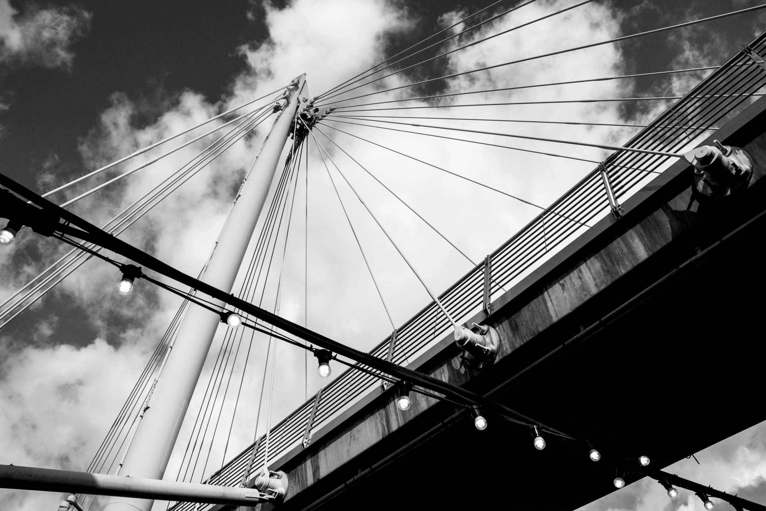 _MG_5412.jpg