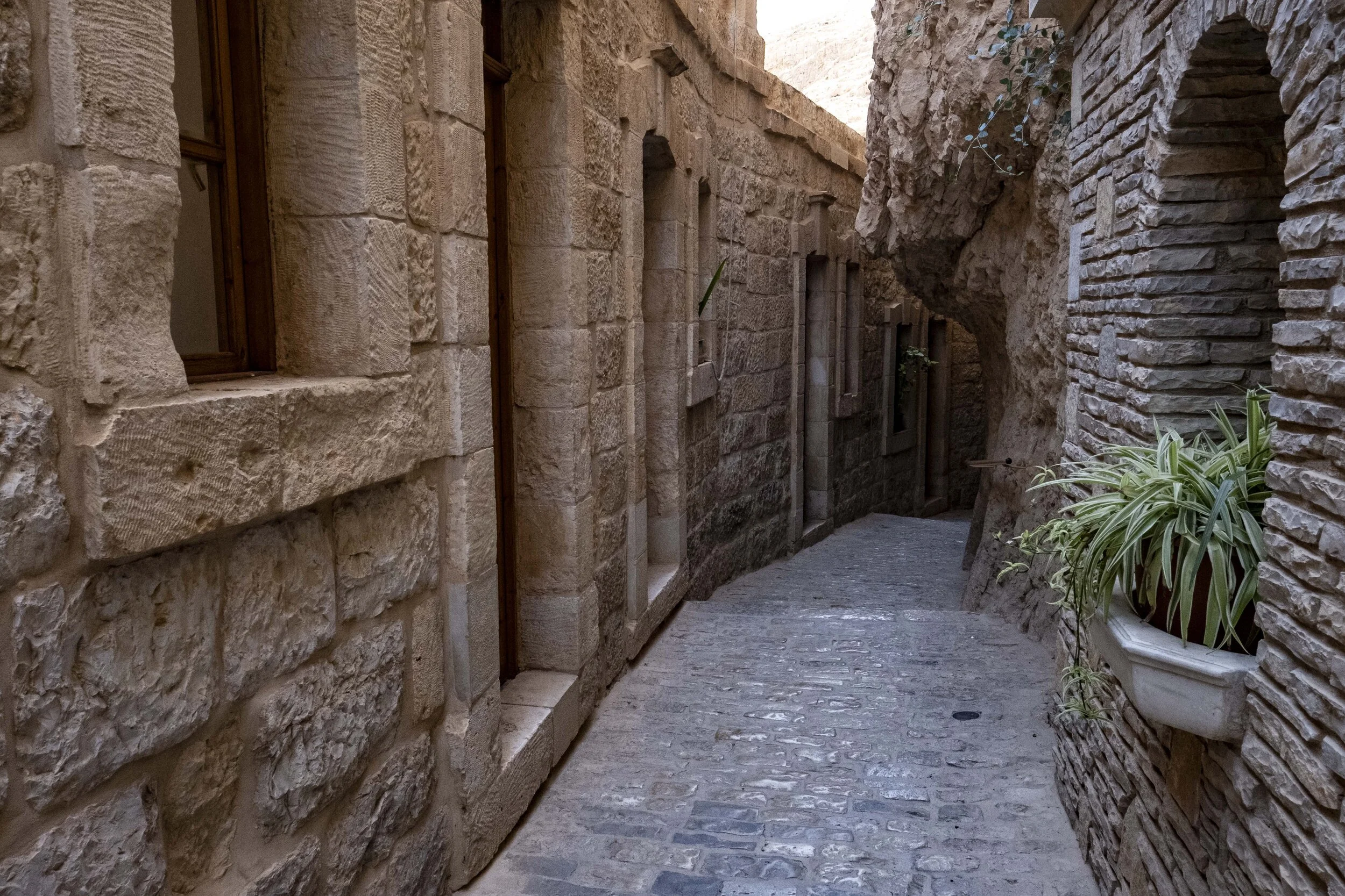 DSCF8243.jpg