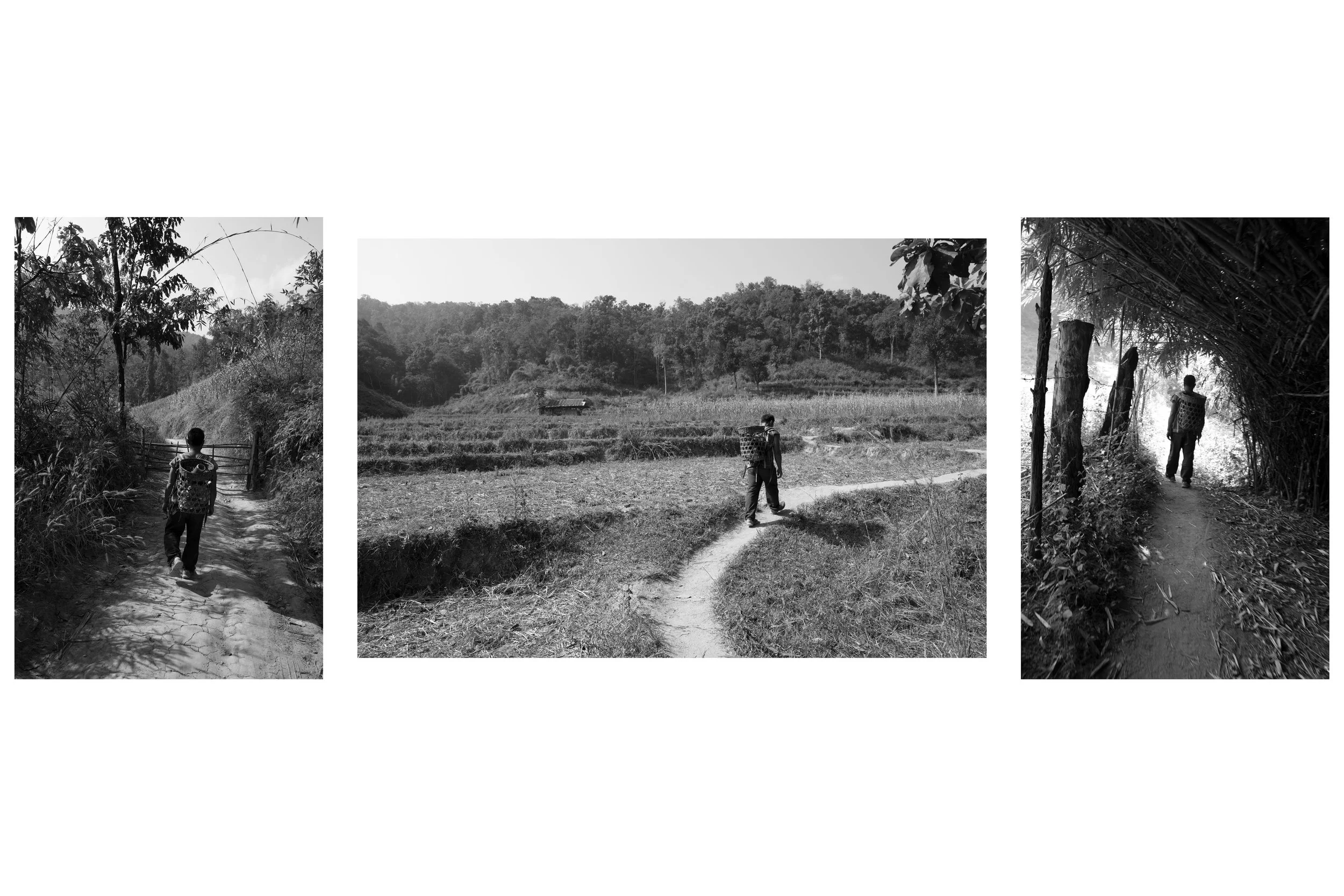 Thailand Series 5.jpg