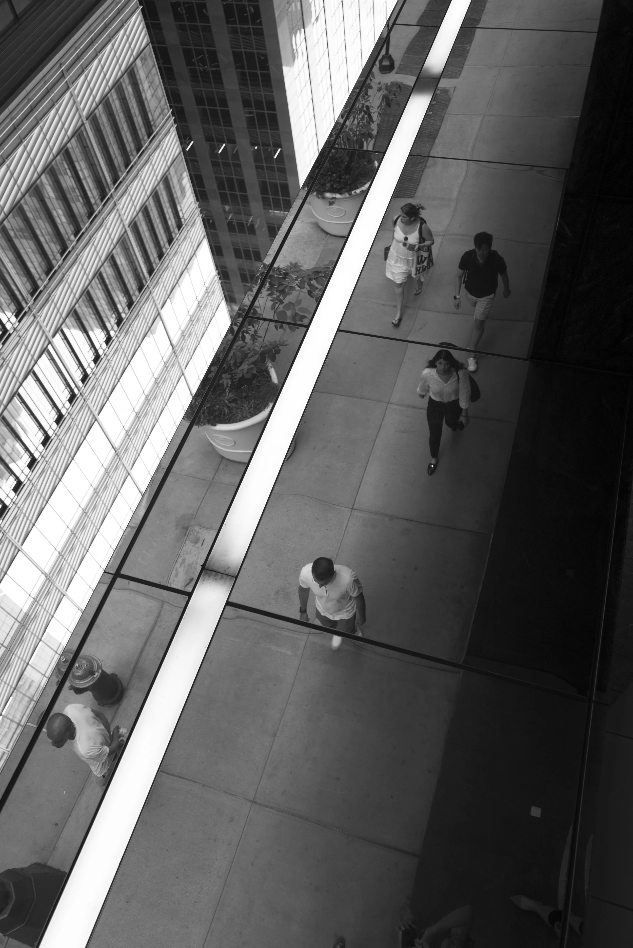 L1020765 copy.jpg