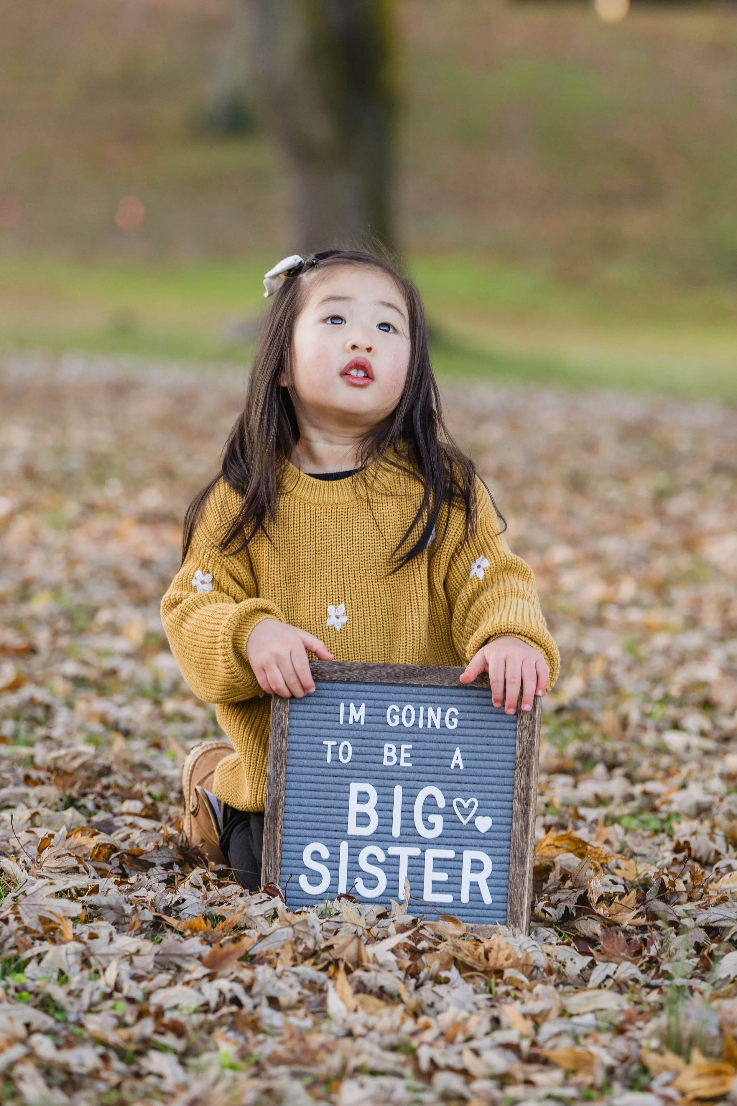 A little girl kneels in fall leaves holding her "Big Sister" letter board while looking up and away from the camera.