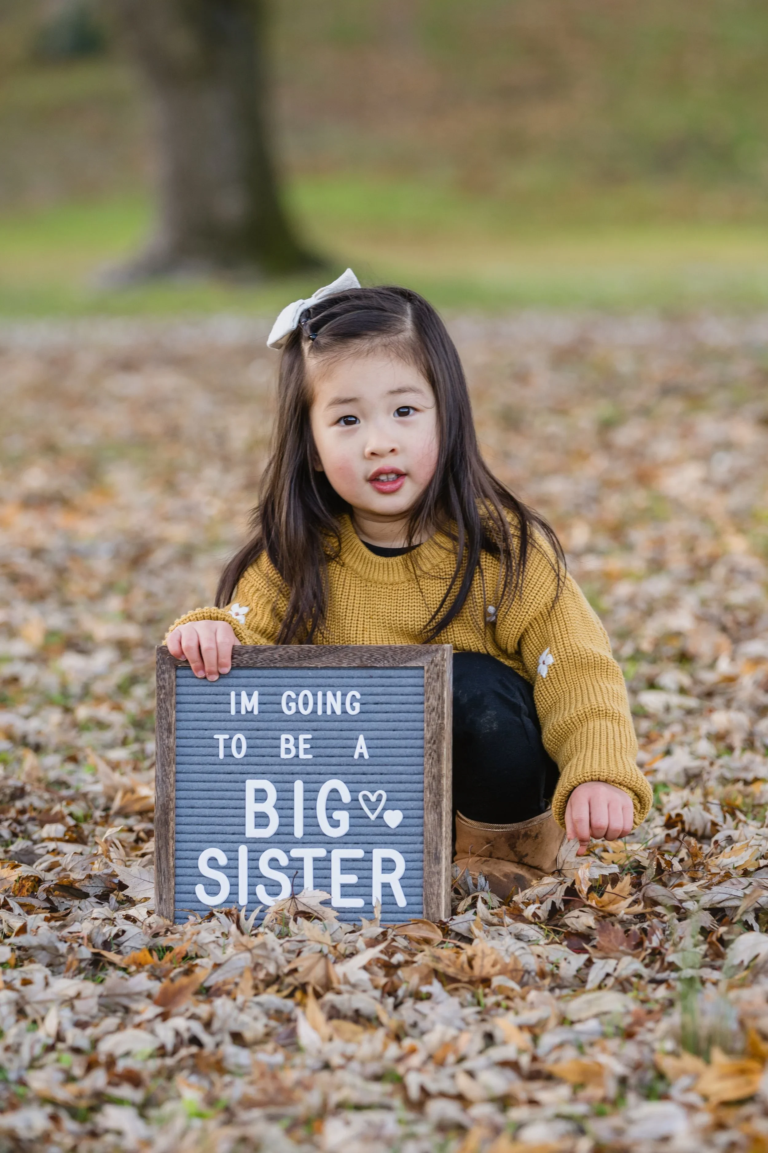 Kneeling in fallen leaves, a little girl holds up a "Big Sister" letter board and looks directly at the camera.
