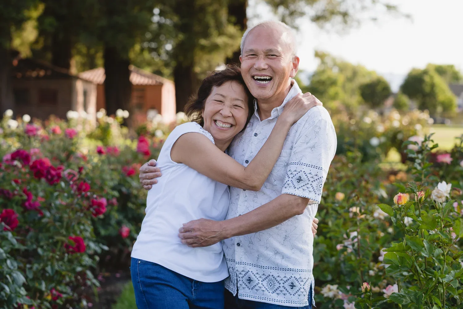 Grandparents in white shirts wrap their arms around each other and laugh, standing between beds of pink and red roses in warm late afternoon light.