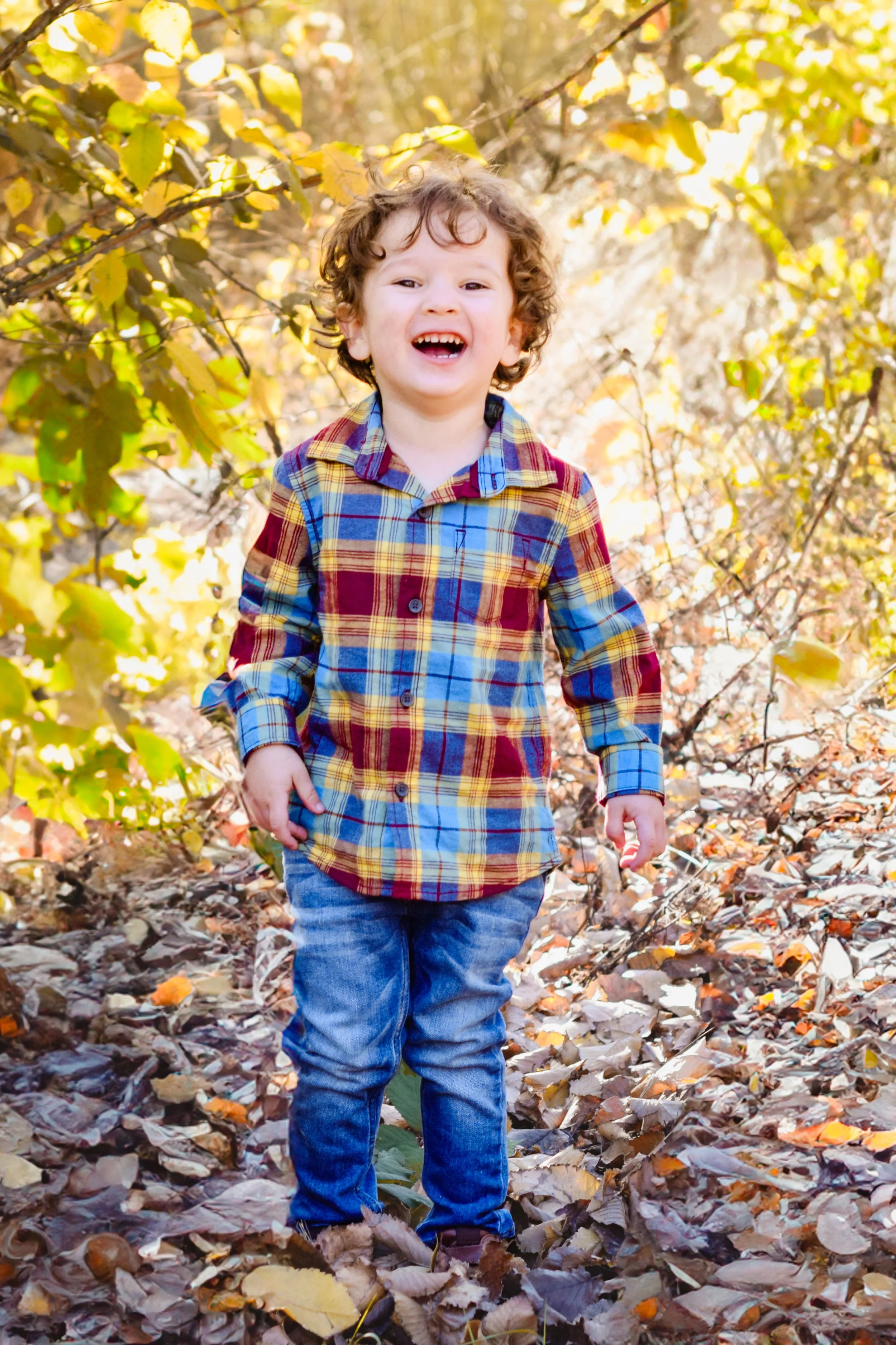 A young boy with curly hair wearing a colorful plaid shirt and blue jeans walking on a trail covered with fallen autumn leaves, surrounded by trees with yellow leaves.