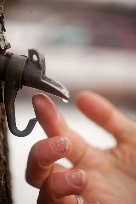 A taste like happiness