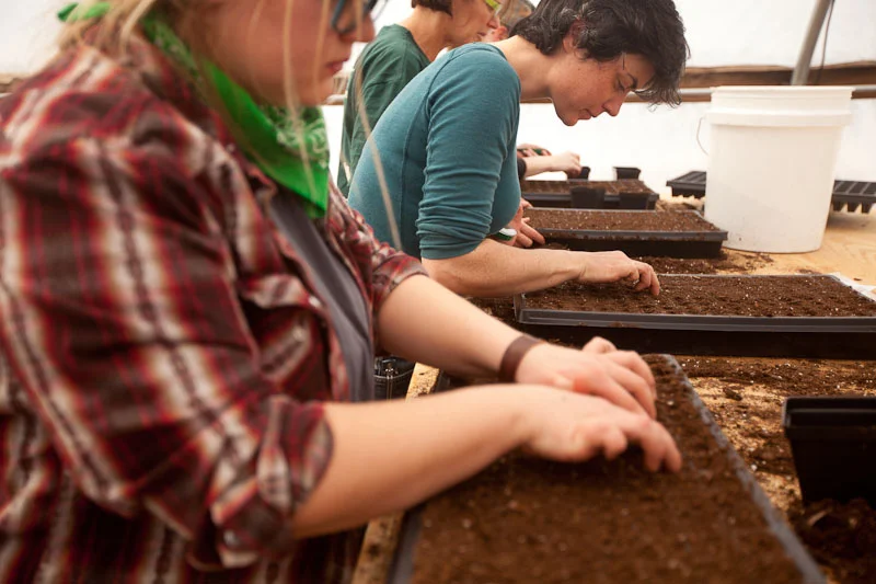 Daylight Distraction Time