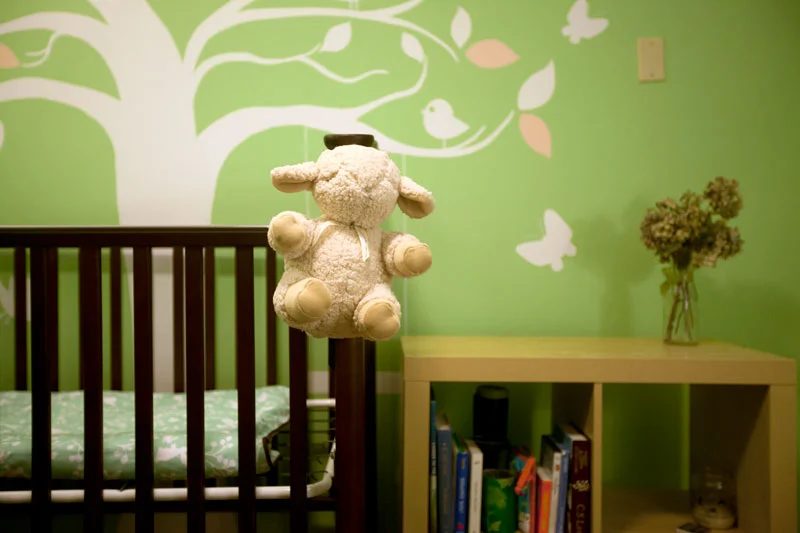 Learning of Lambs and Labor