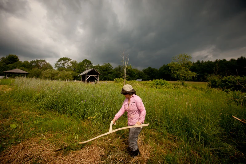 Too Much of a Good Thing