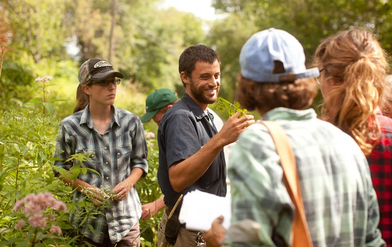 The Virginia Creeper
