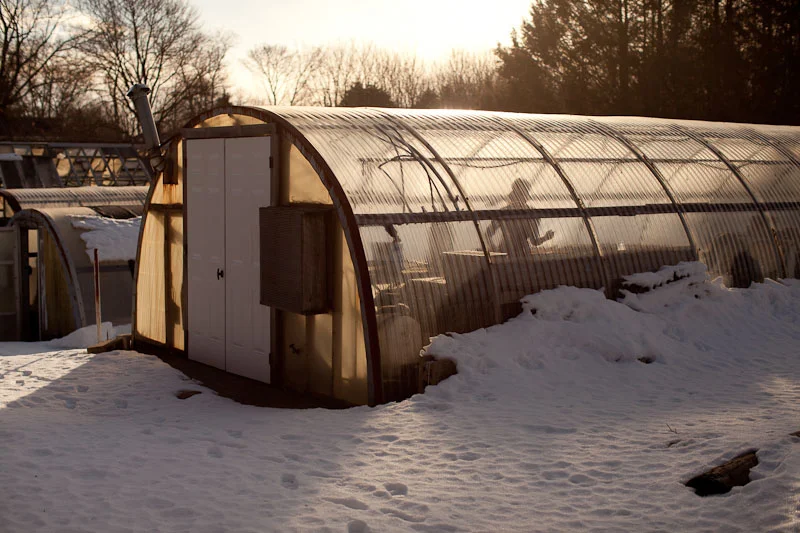 Farming Without A Farm