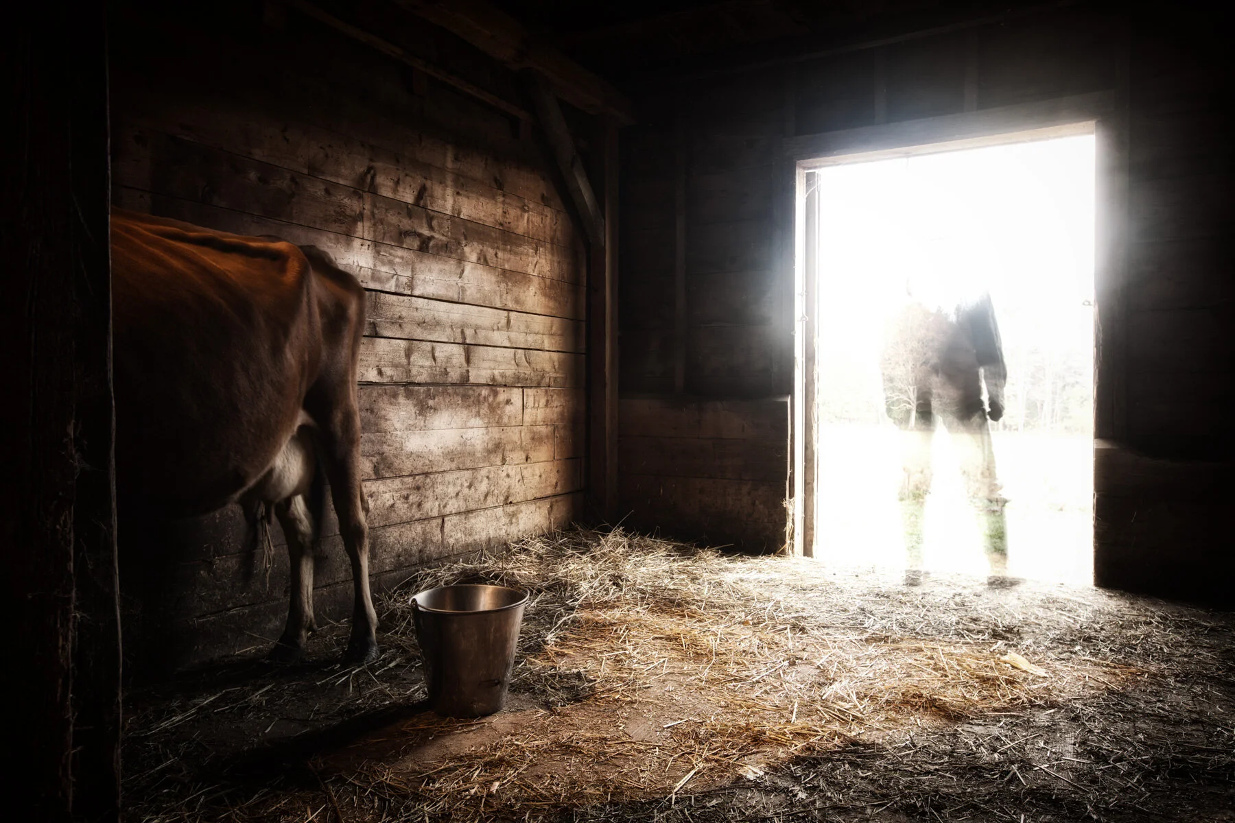 farmer-milking-death.JPG