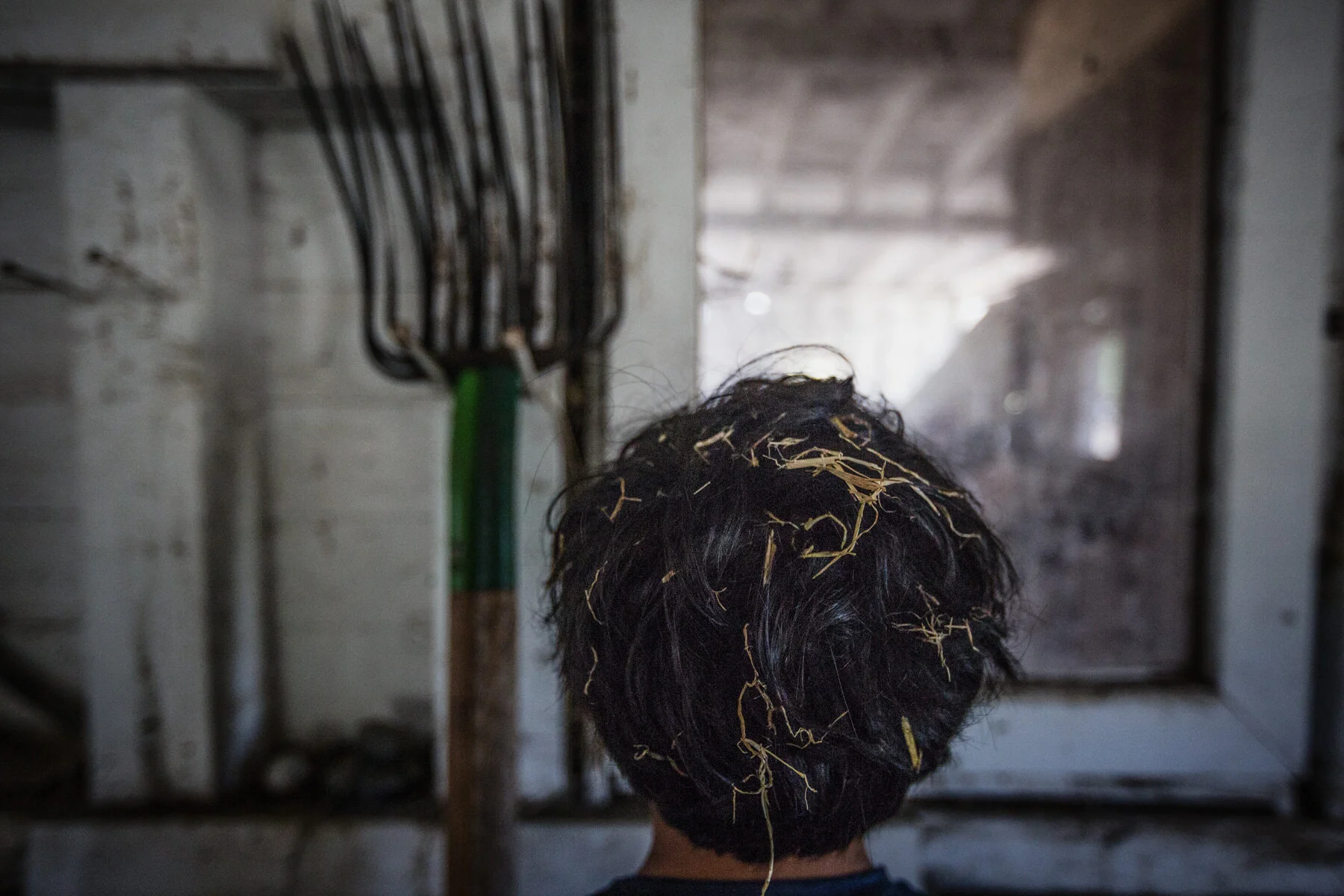 hay-hair-barn.JPG
