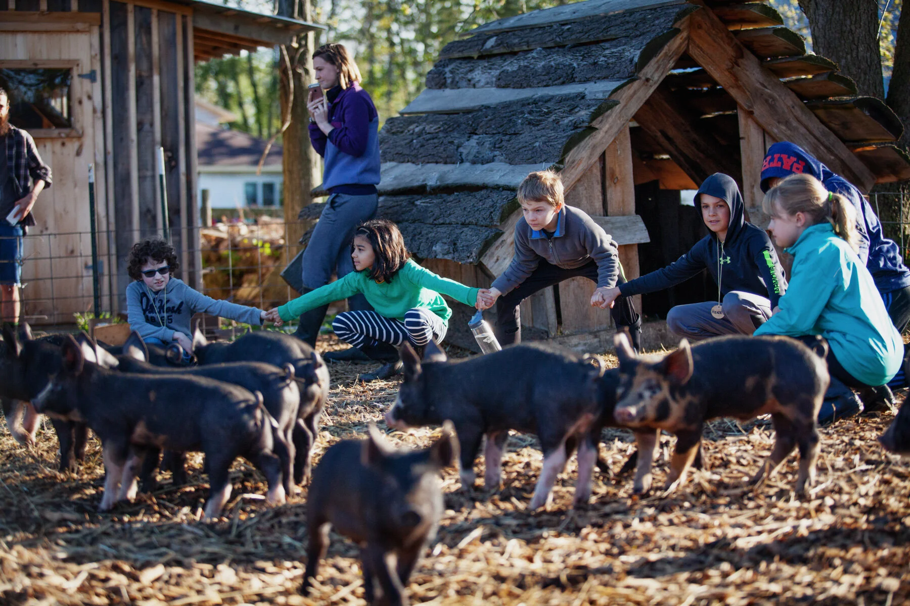 piglet-kids-farm.JPG