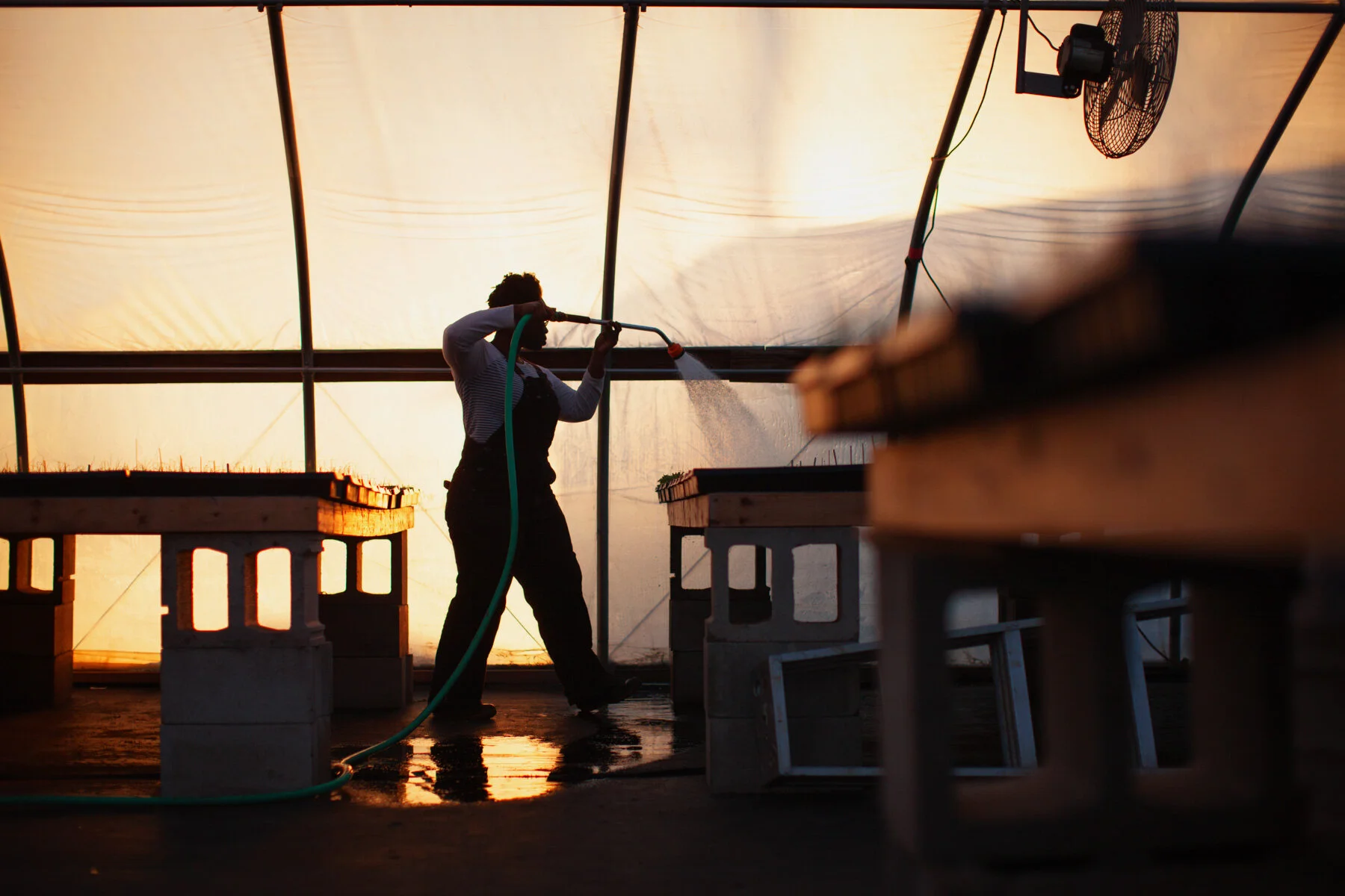 watering-greenhouse.JPG