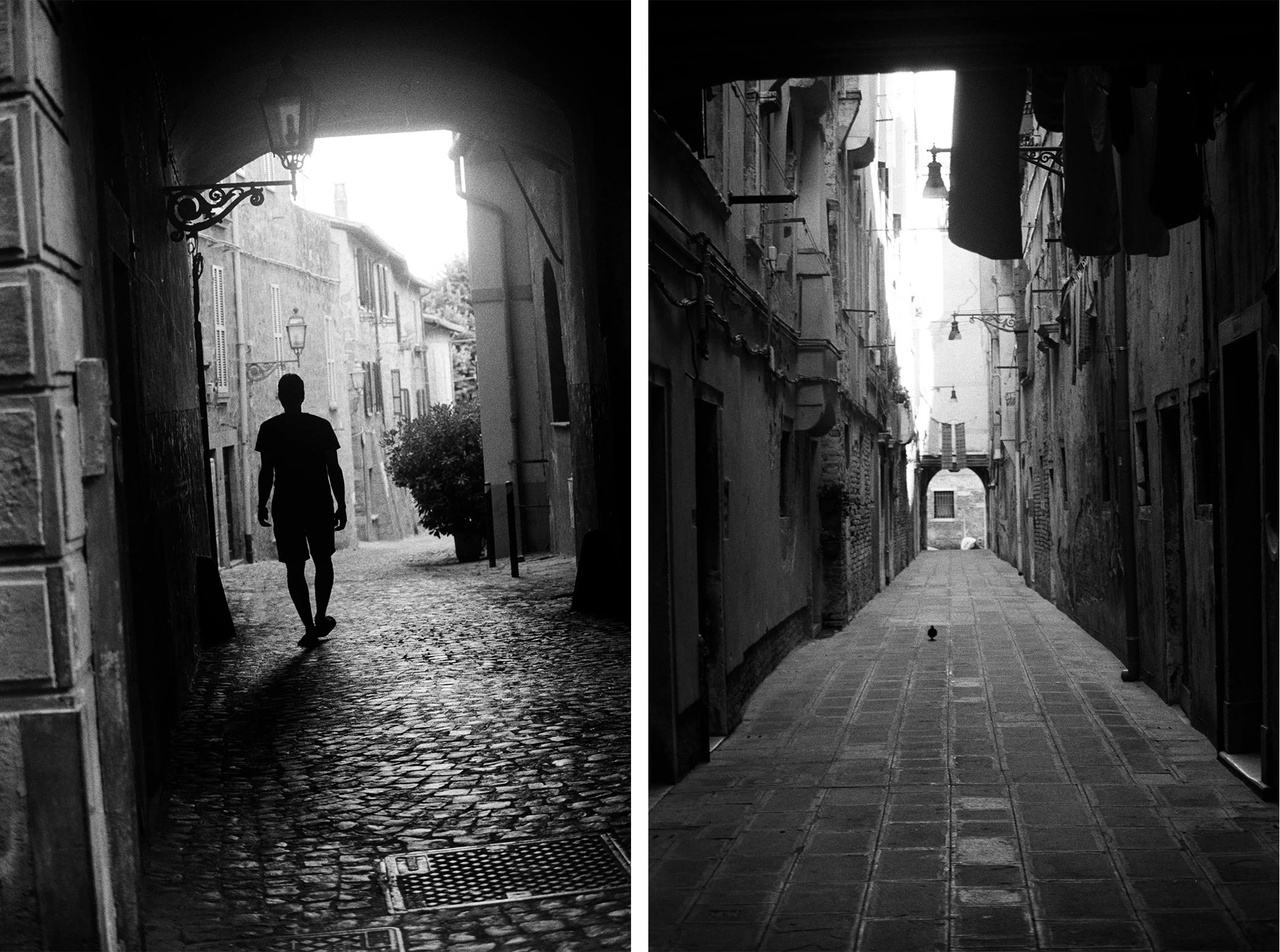 Through the darkness Scottandforth pigeon.png