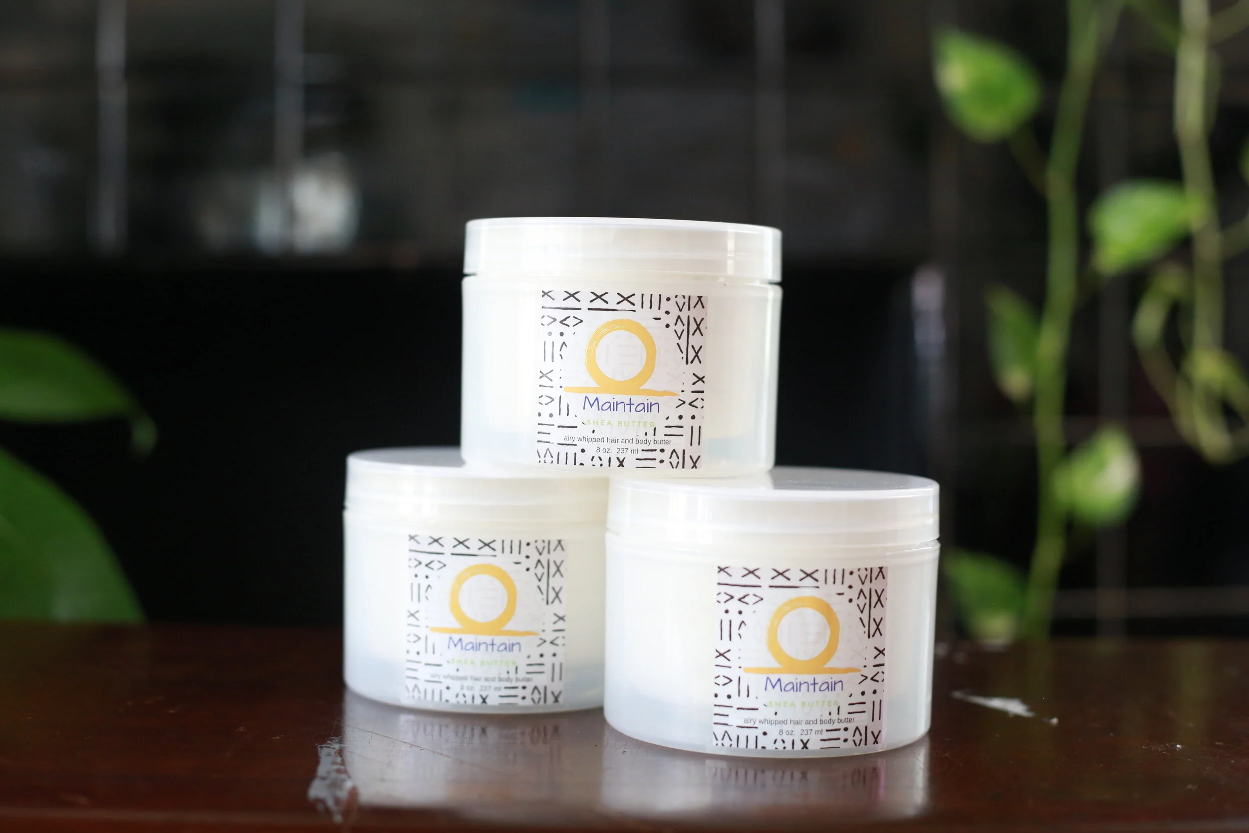 maintain shea & co.