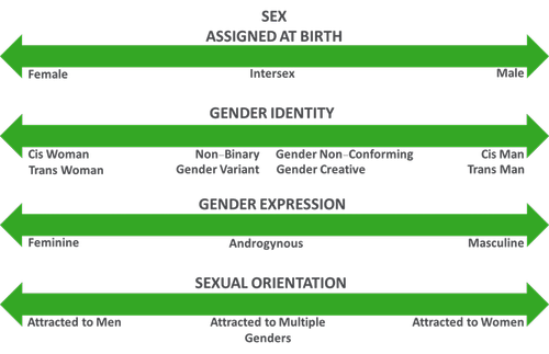 Gender Identity and Expression as Protected Grounds: What are the ...