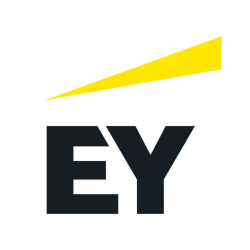 transfocus_Ernst_Young.jpg