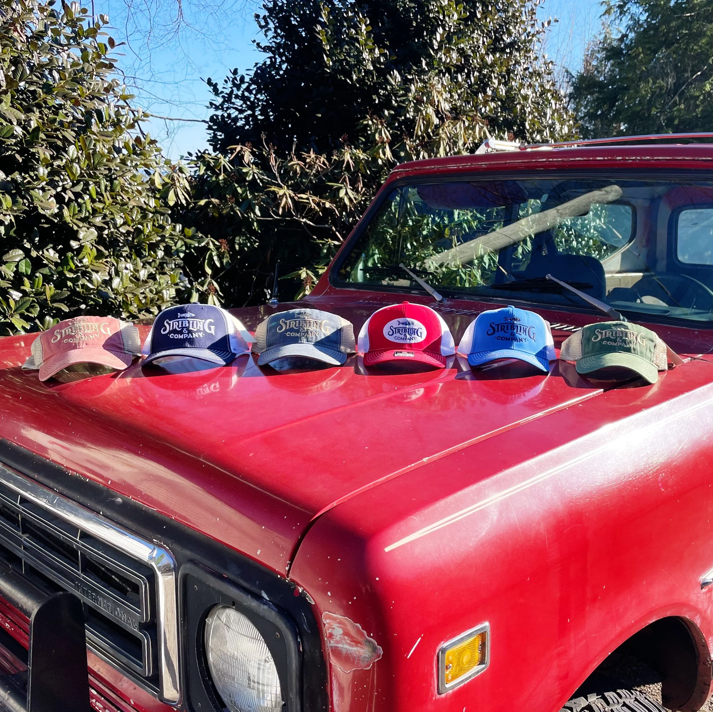 Stribling & Co Ball Cap - Fishing Logo