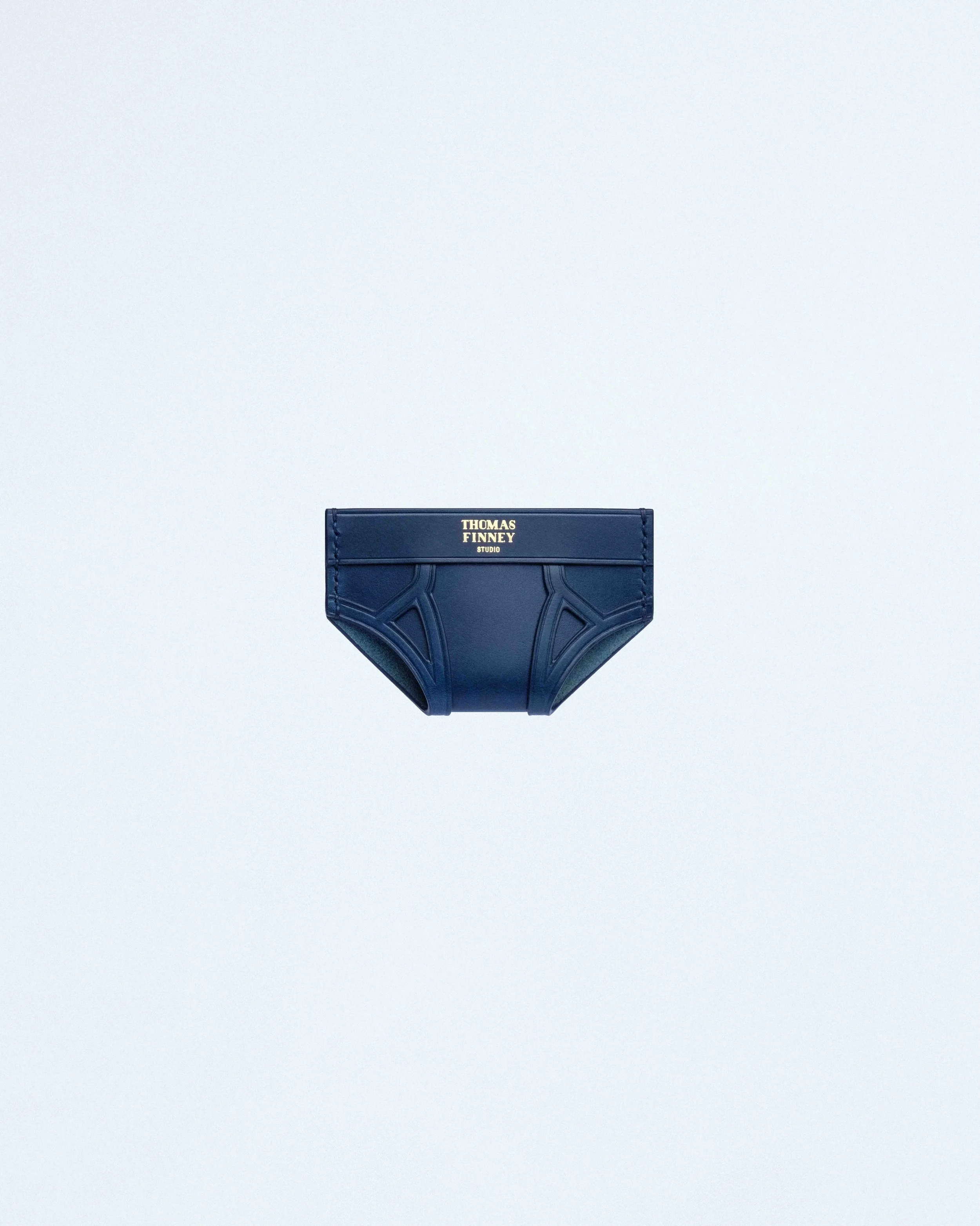 Brief Card Case in Blue Leather