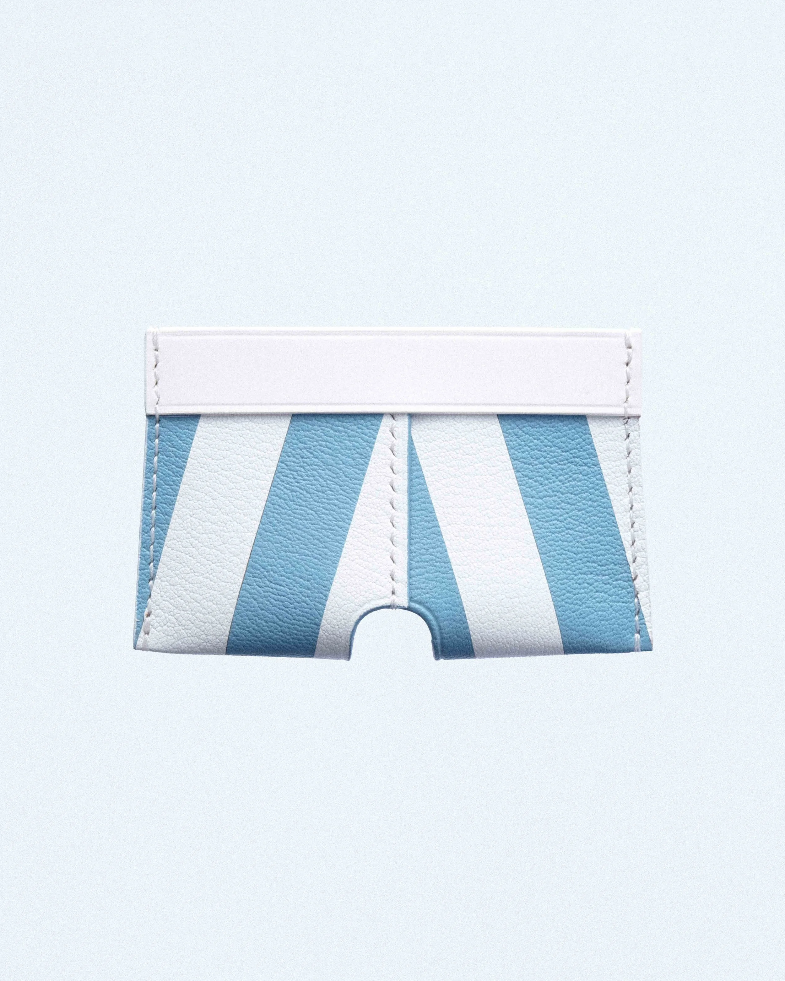 BOXER CARD CASE IN BLUE STRIPE CHEVRE-5.jpg