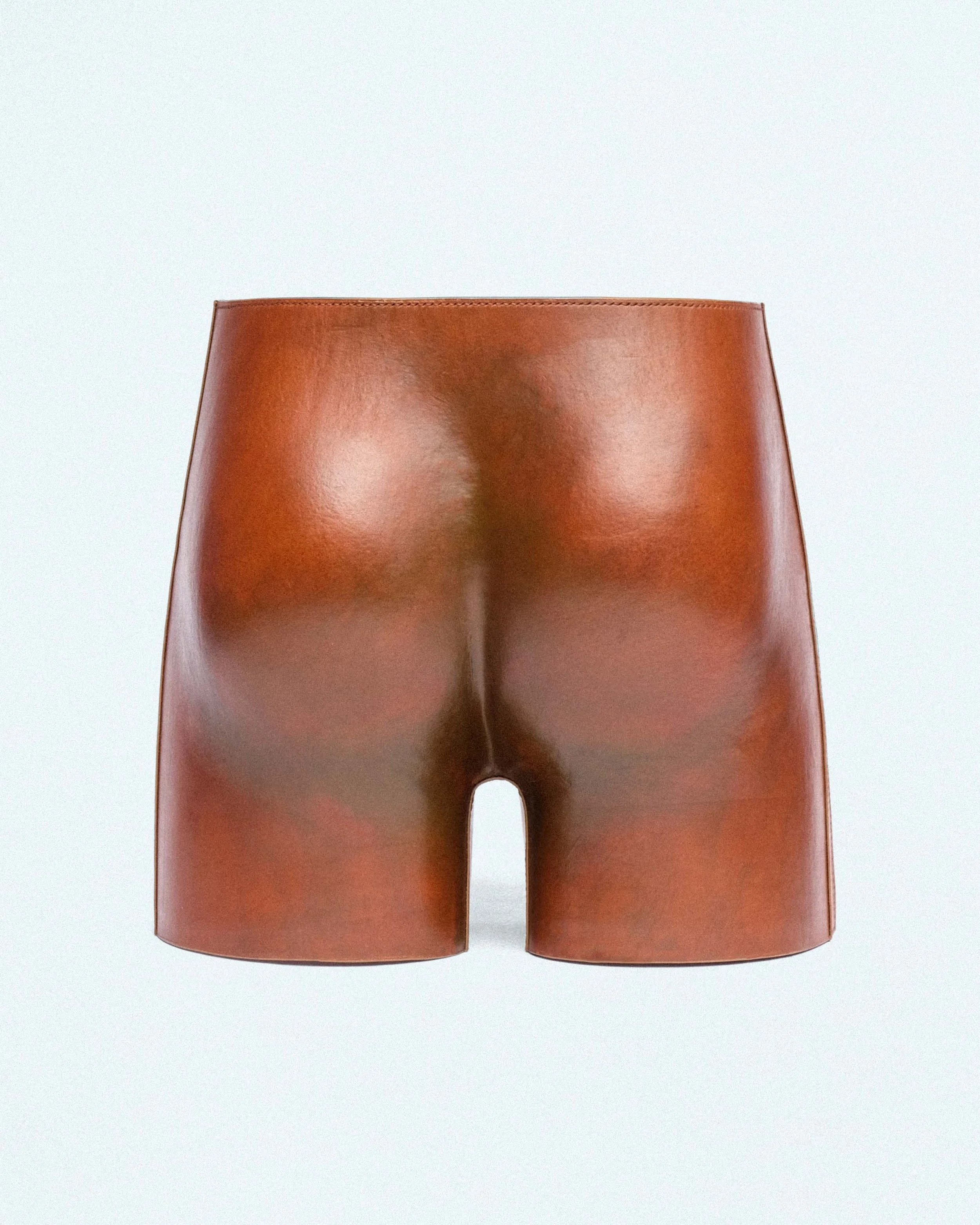 ENHANCED SHORT-4.jpg