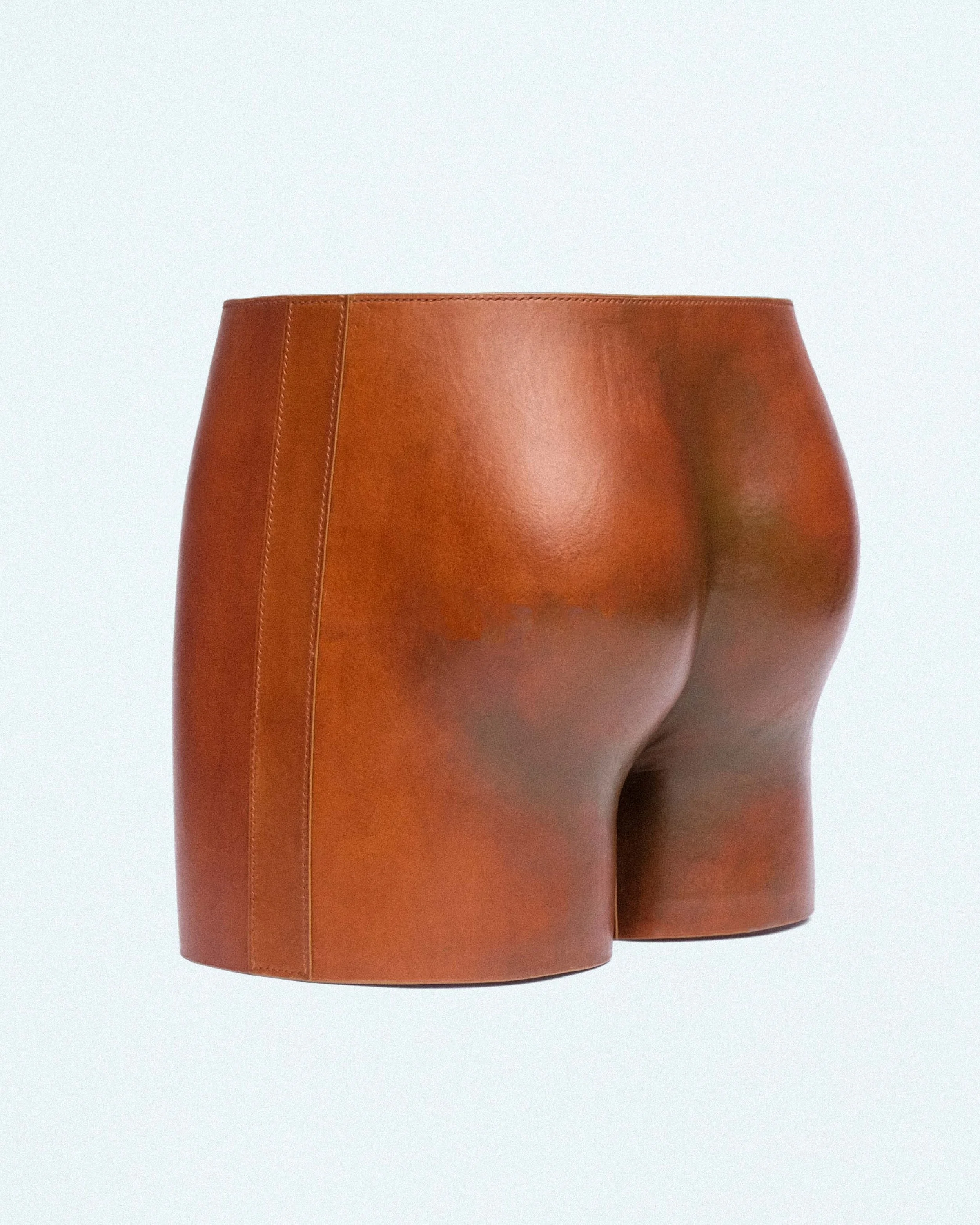 ENHANCED SHORT-3.jpg