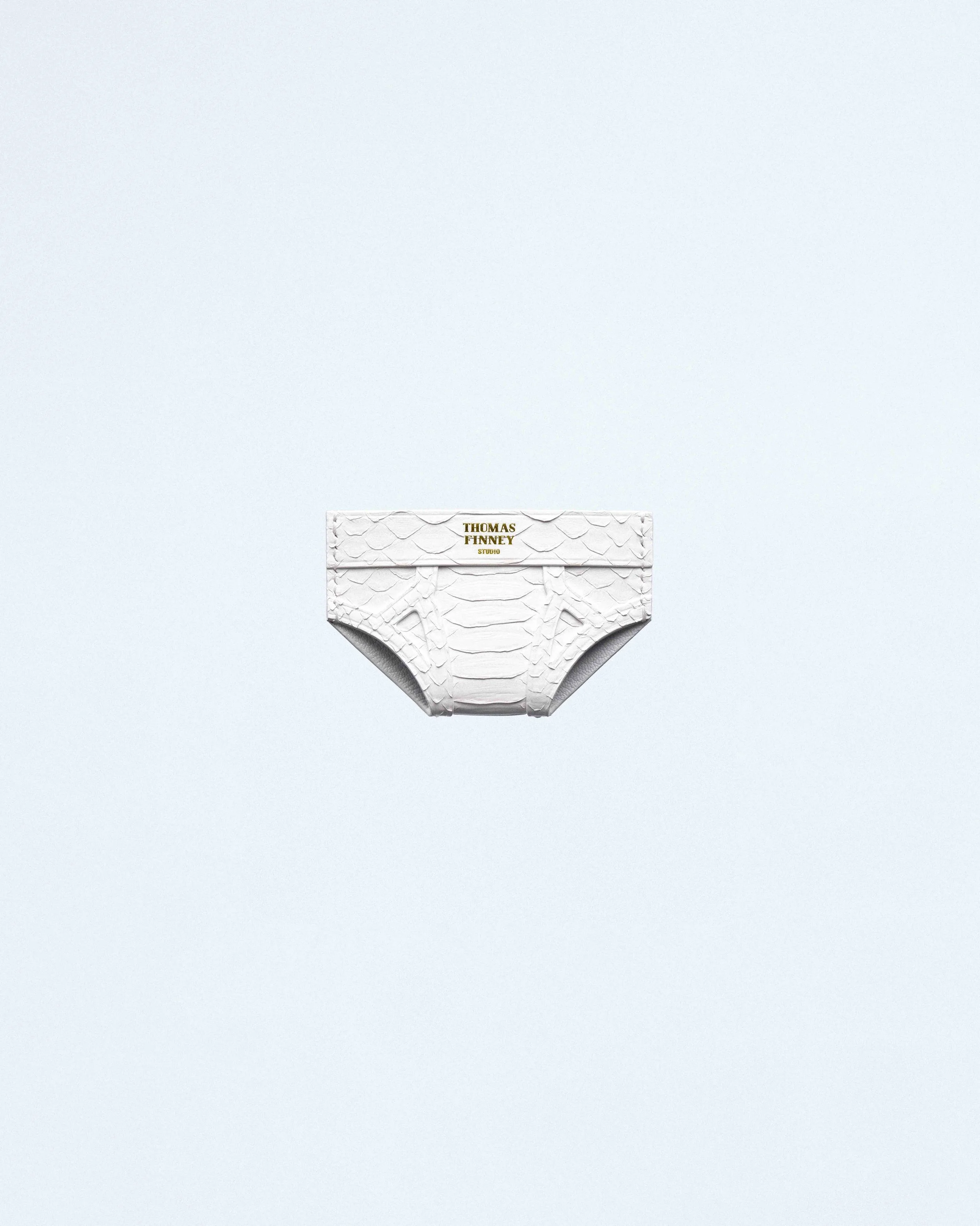 Brief Card Case in White Python