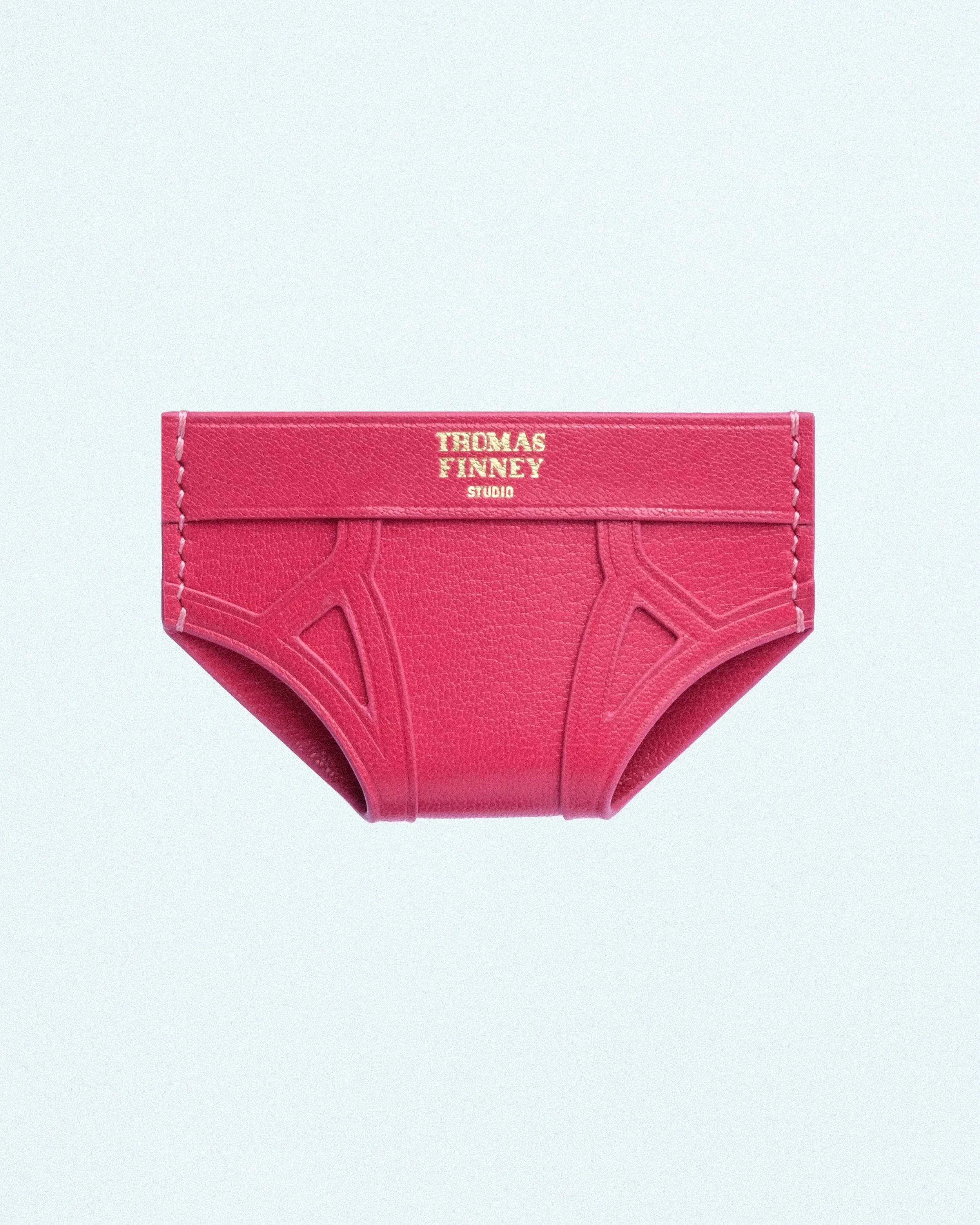 BRIEF CARD CASE IN PINK CHEVRE-3.jpg