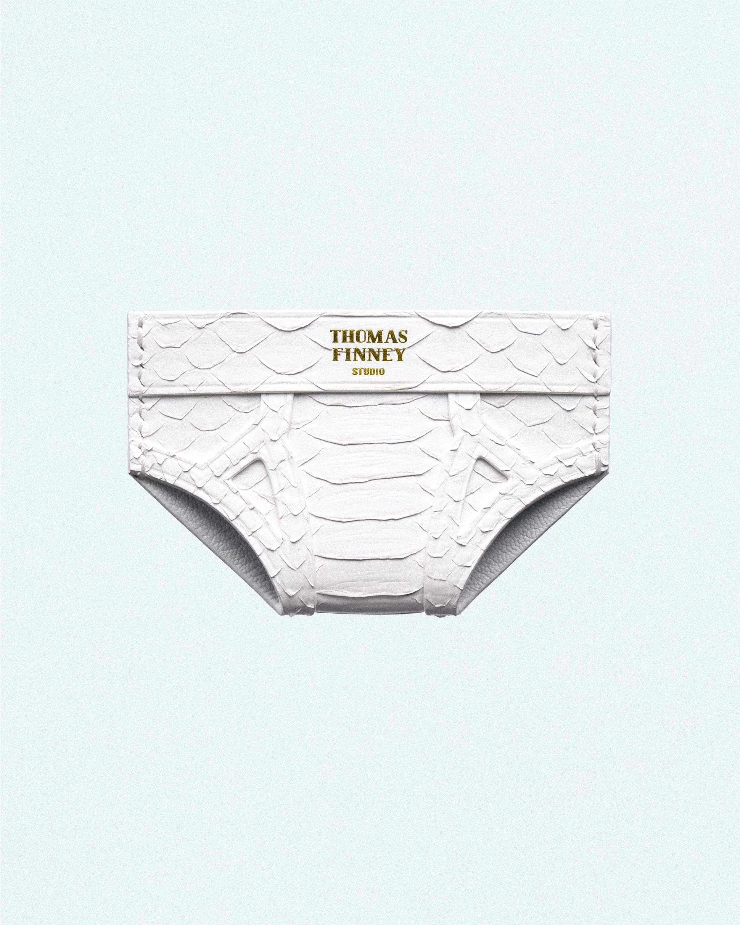 BRIEF CARD CASE IN WHITE PYTHON-3.jpg