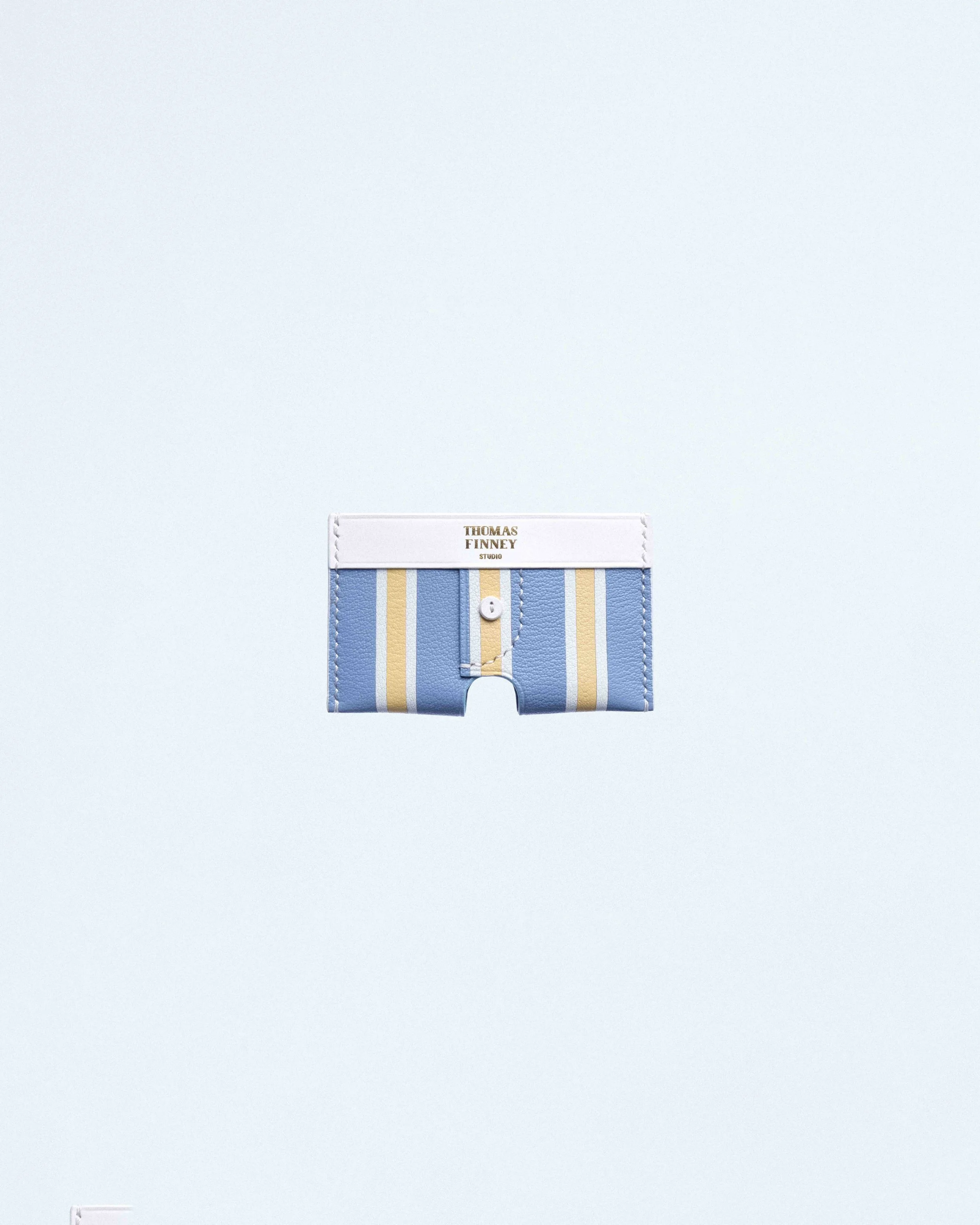 Boxer Card Case in Blue  Stripe Chevre