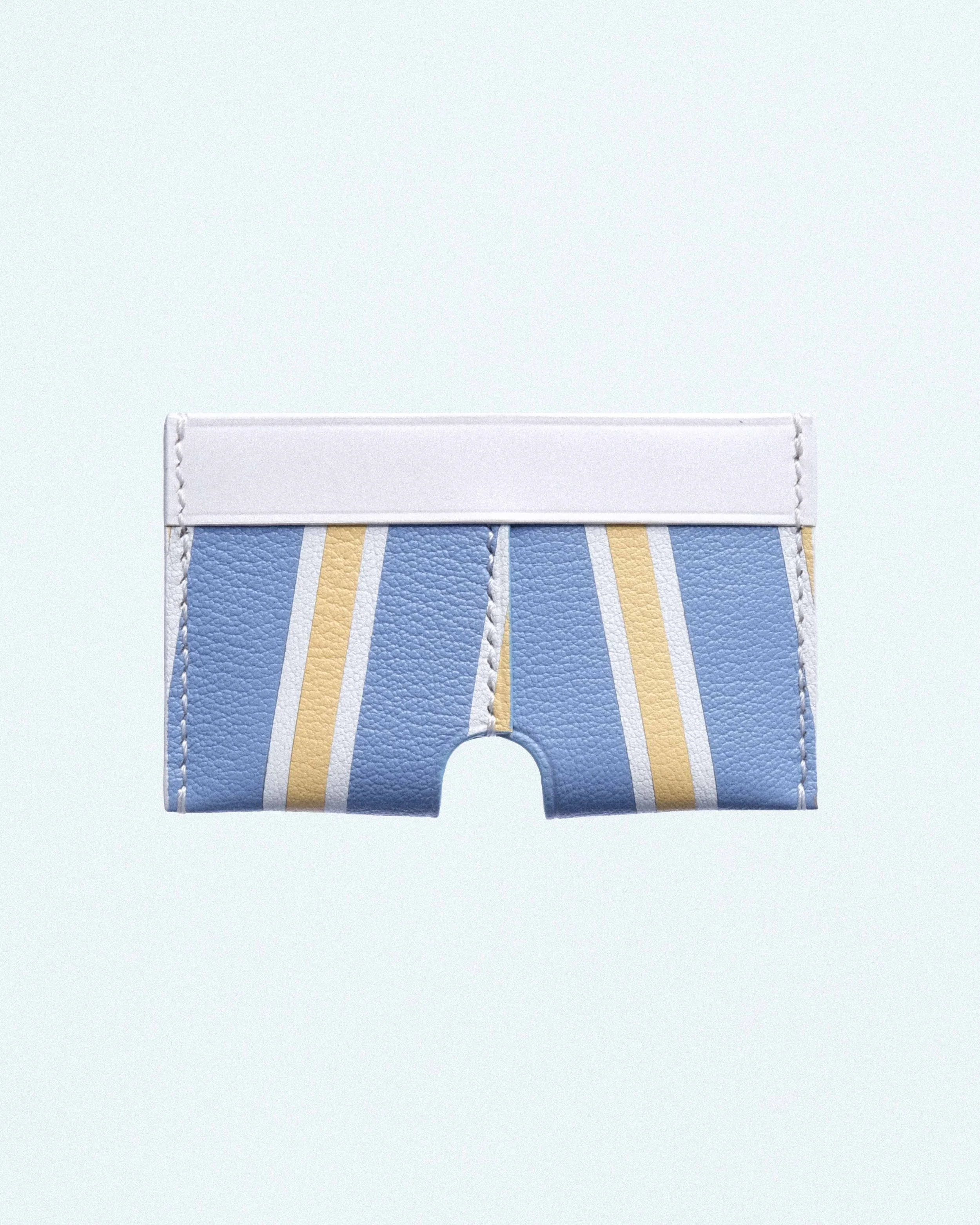 BOXER CARD CASE IN BLUE STRIPE CHEVRE-5.jpg