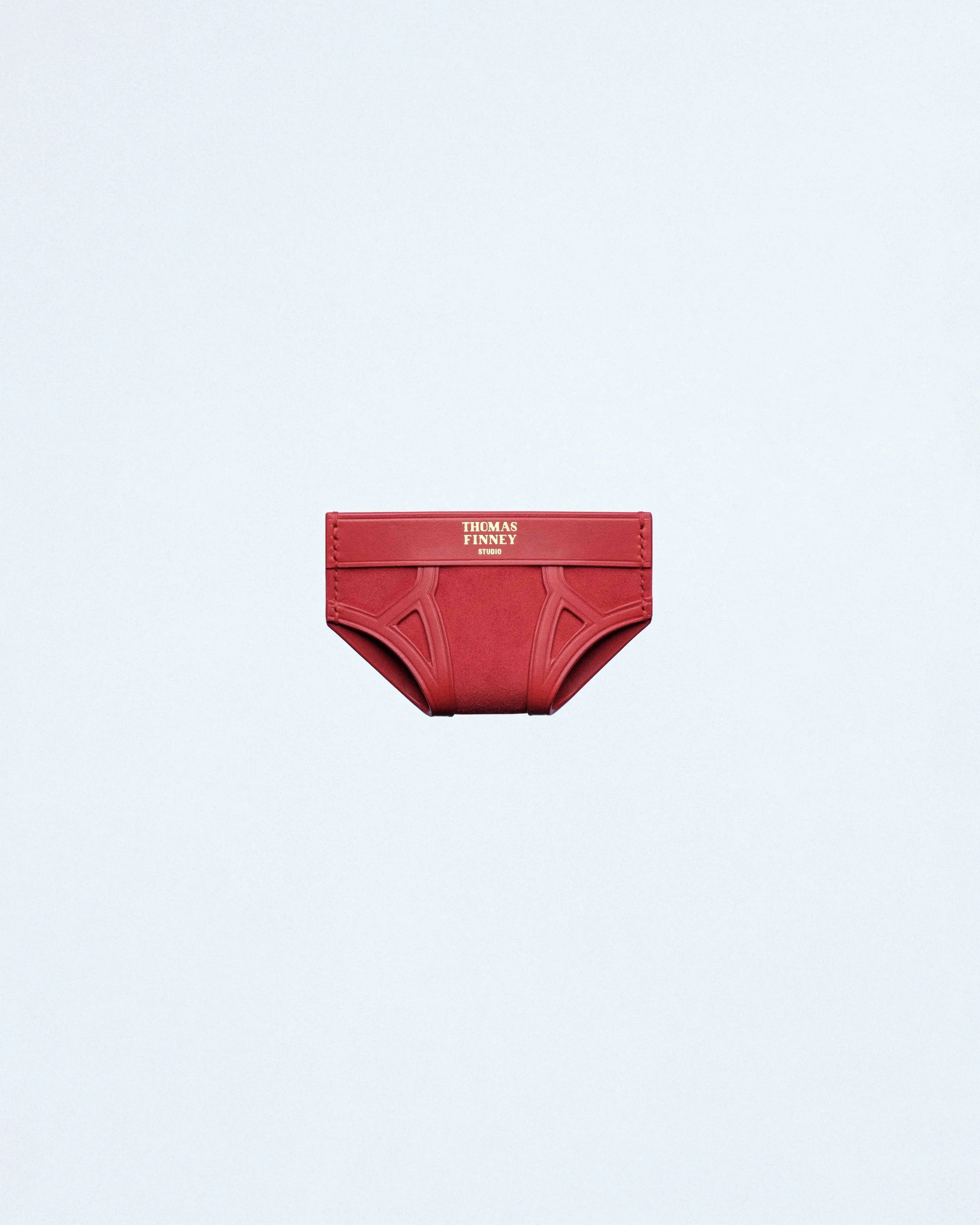 Brief Card Case in Red Suede