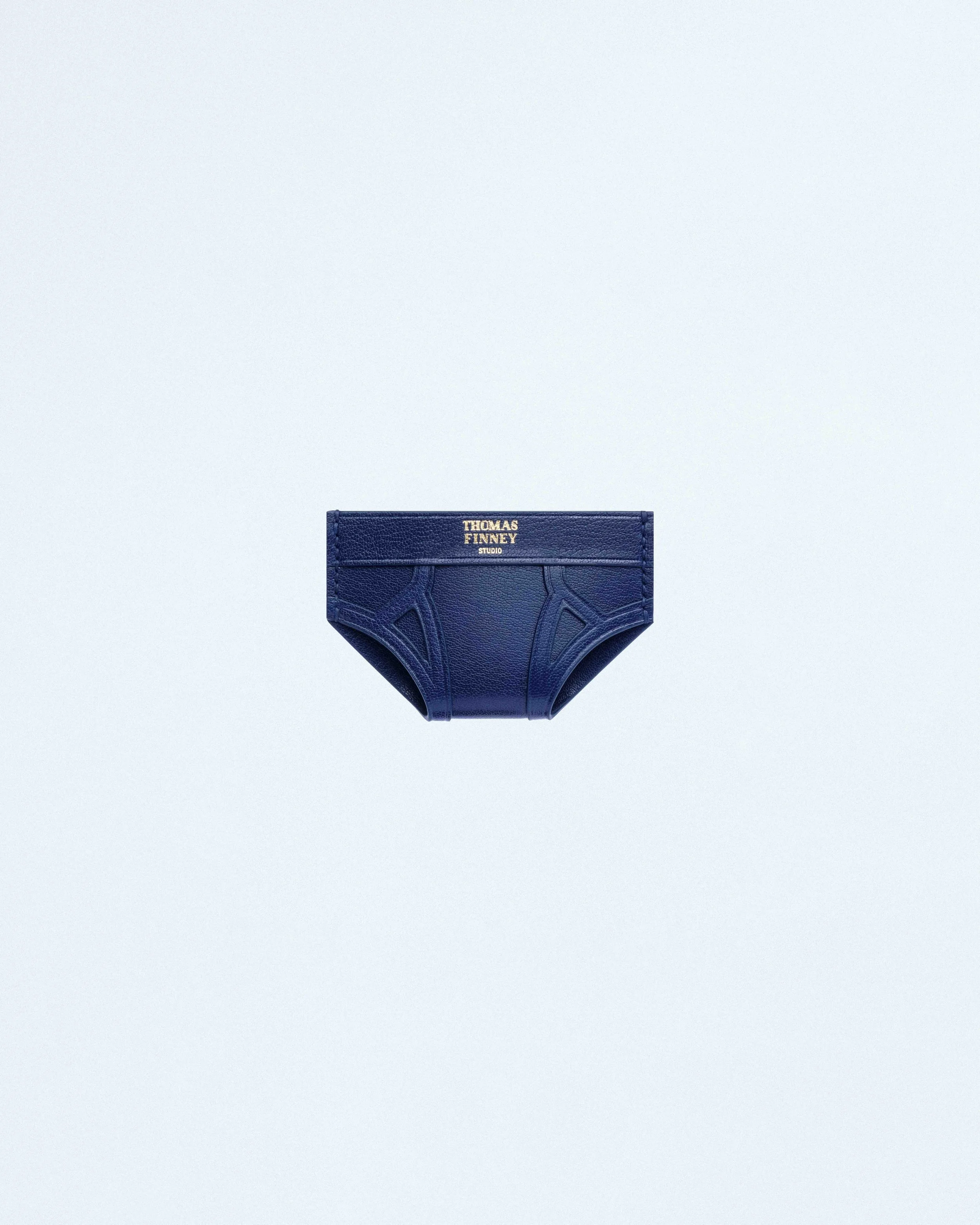 Brief Card Case in Blue Chevre