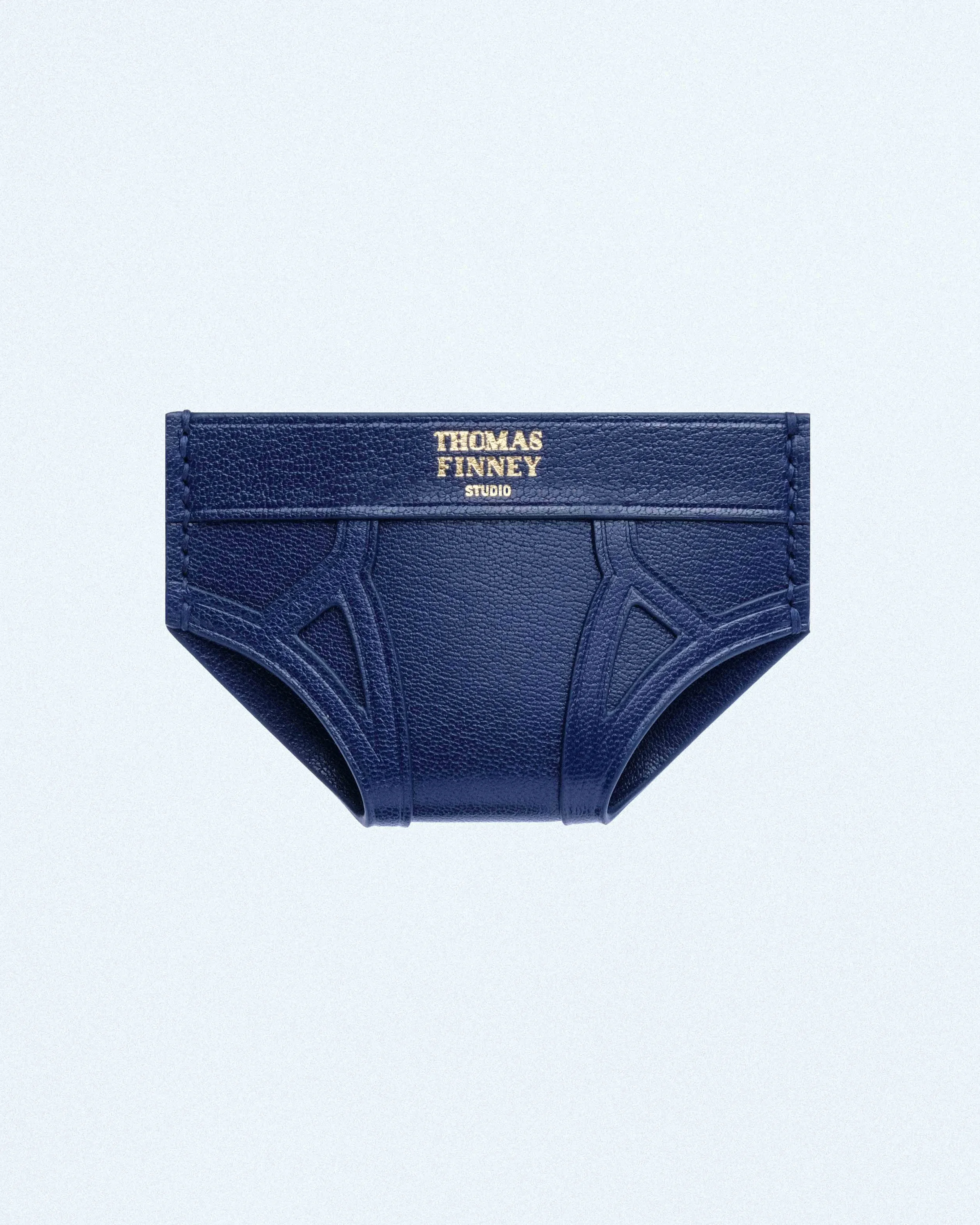 BRIEF CARD CASE IN BLUE CHEVRE-3.jpg
