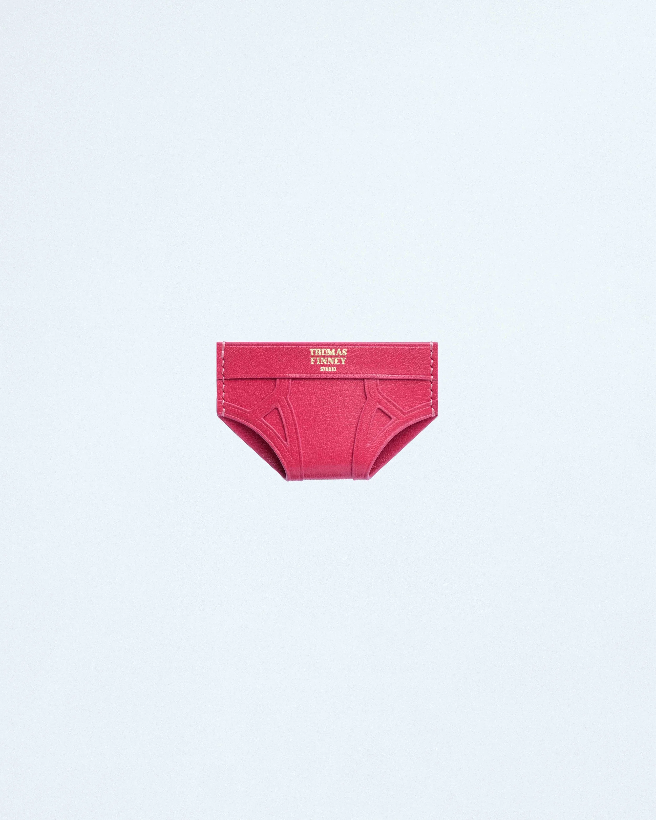 Brief Card Case in Pink Chevre