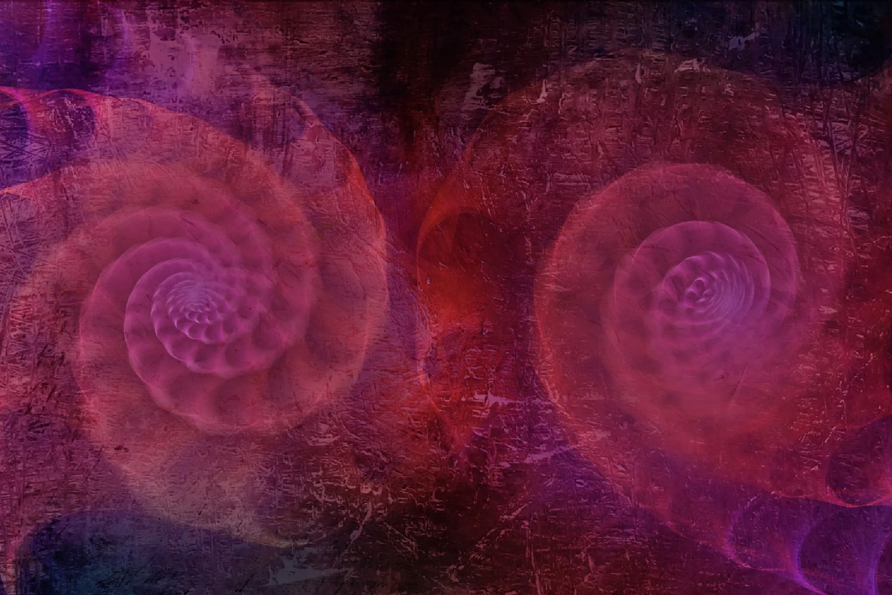 DEAD_RINGERS_Artboard 5-80.jpg