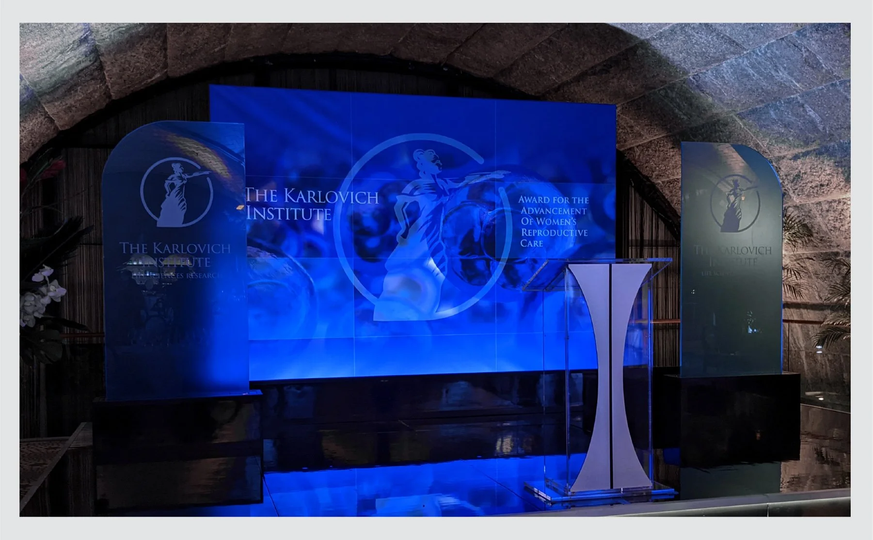 DEAD_RINGERS_Artboard 13A-80.jpg