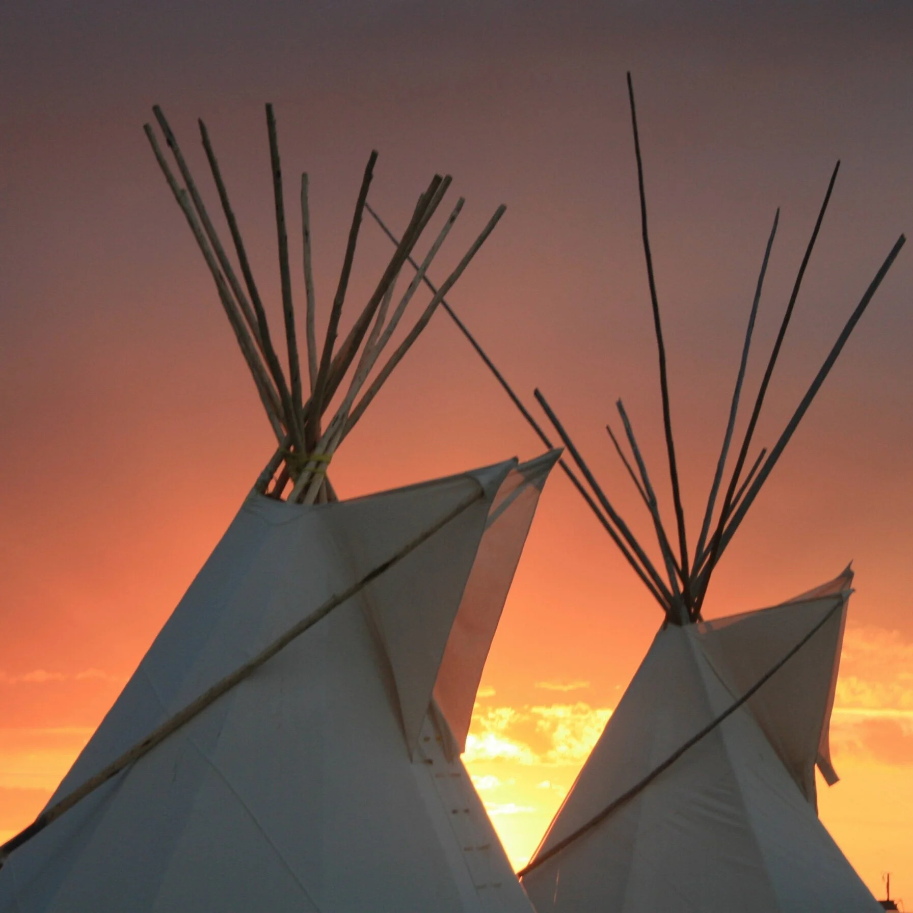 Richard Oster on Being Transformed as an "Active Disruptor"