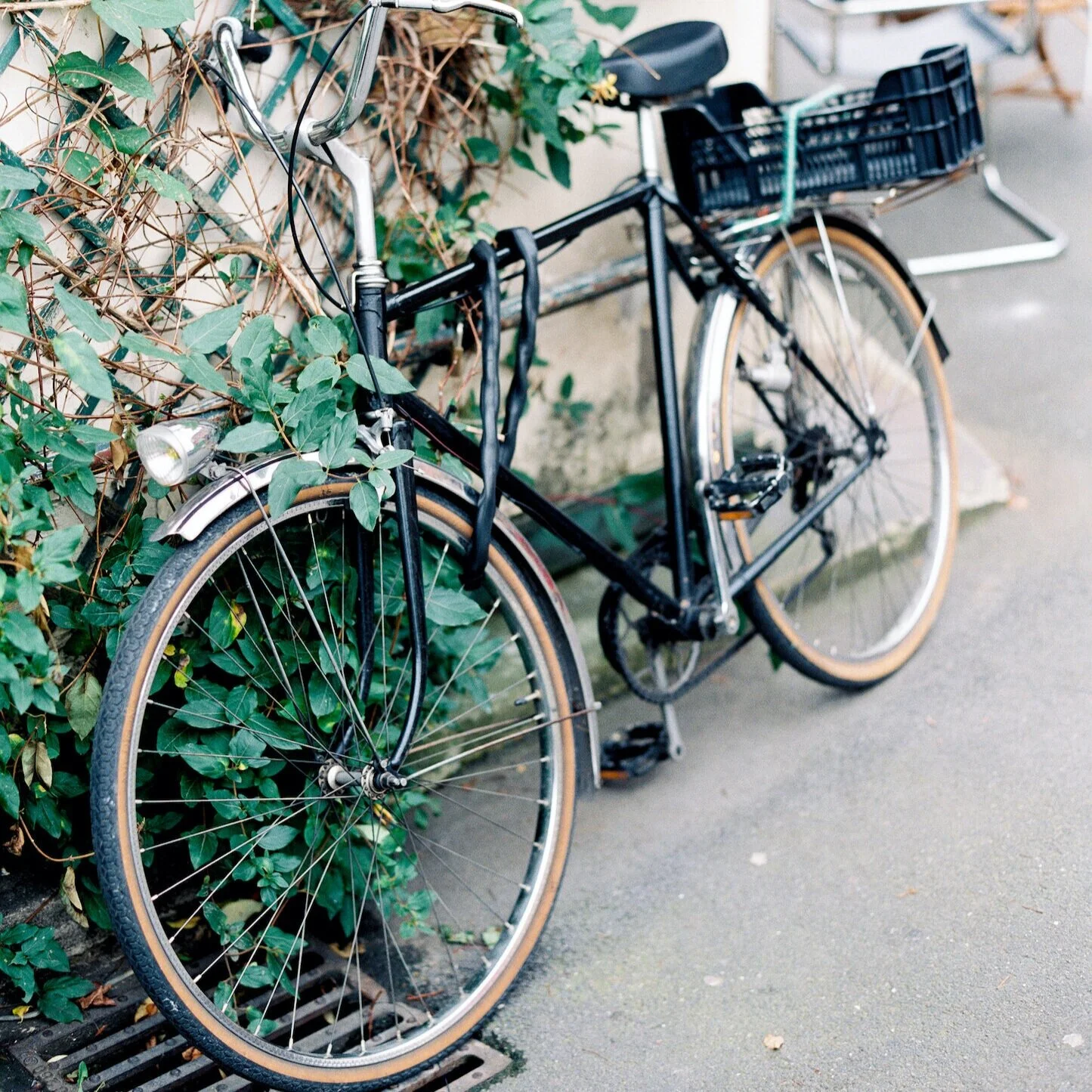 Why Qualitative Researchers Need Recreation